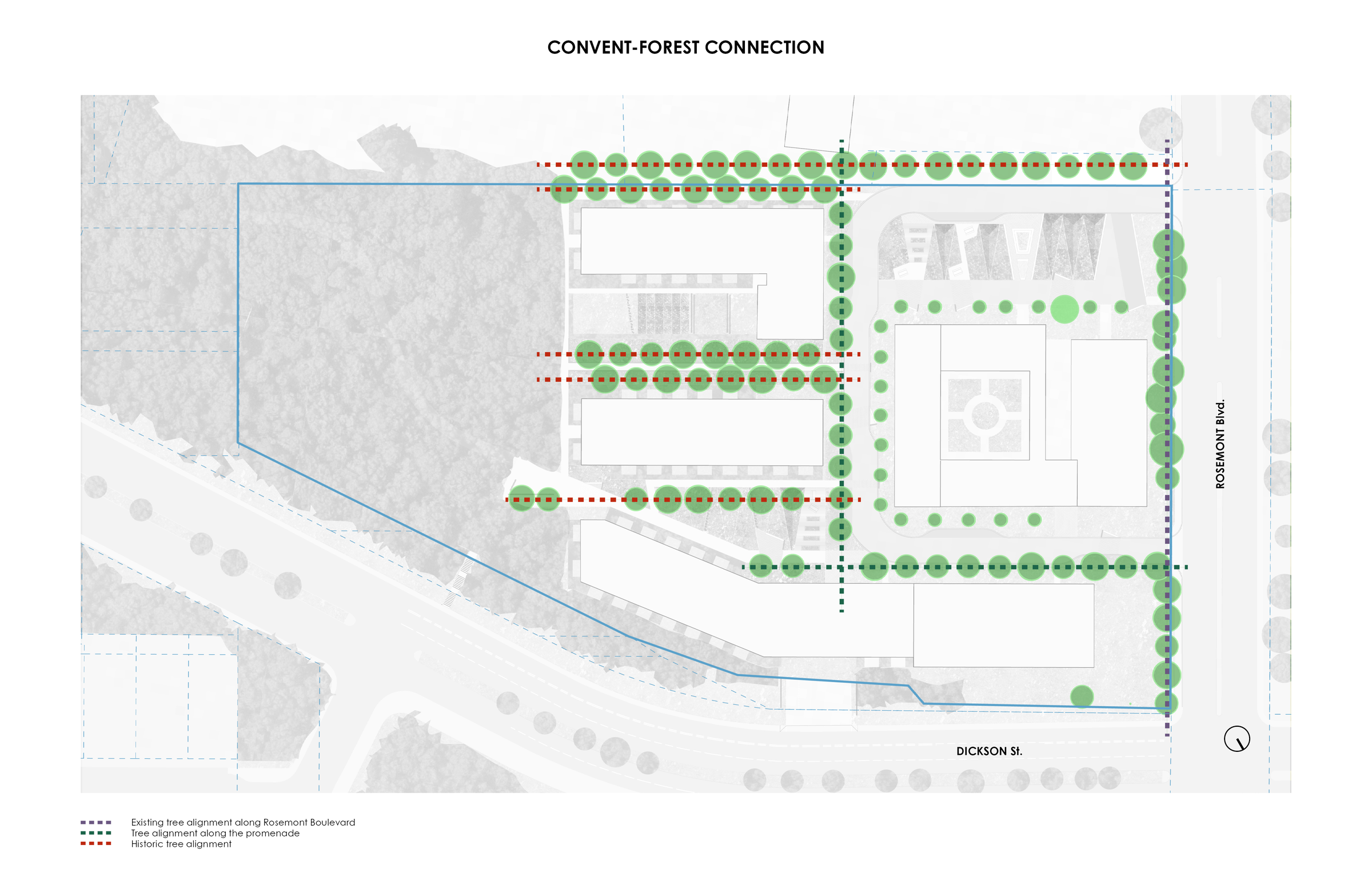 Rooted Renewal - Convent-Forest Connection Diagram