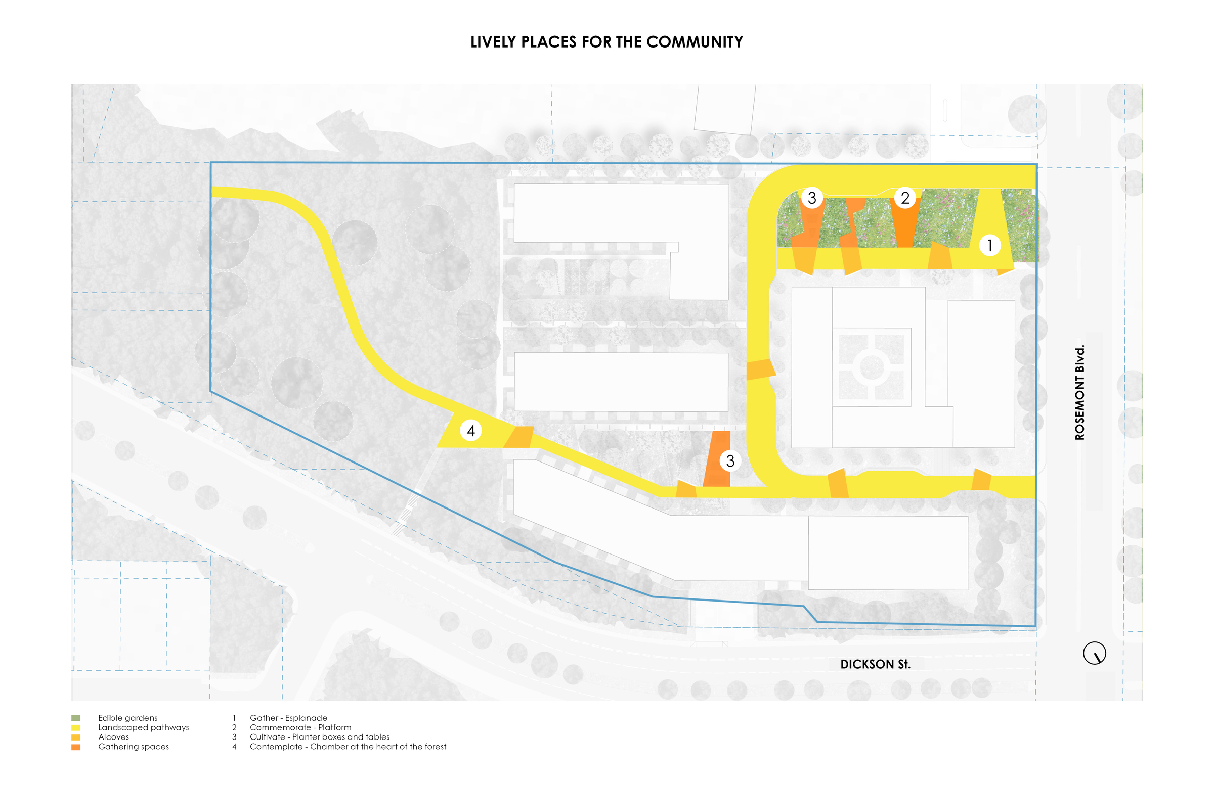 Rooted Renewal - Lively Places For The Community Diagram