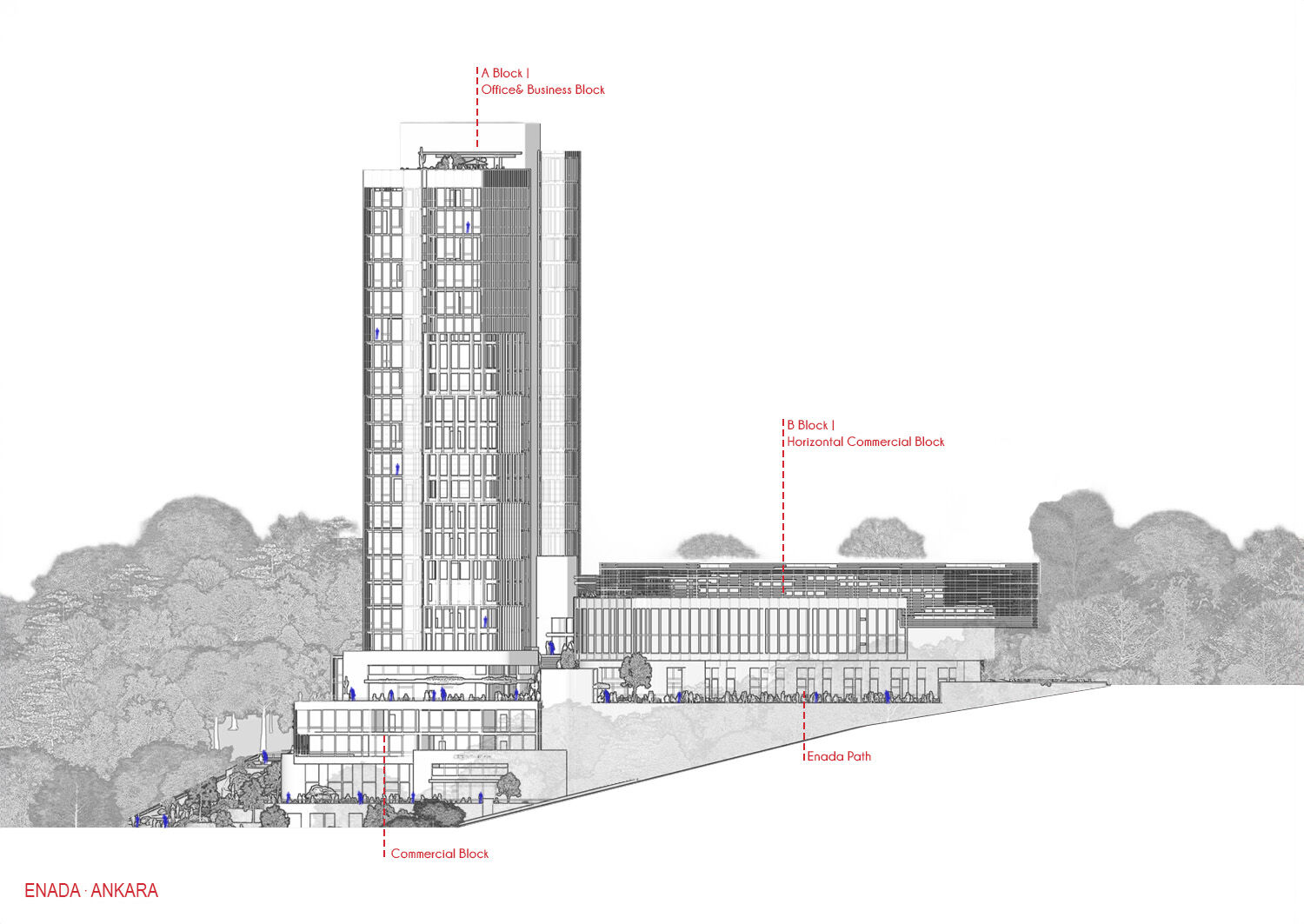 ACE Architecture