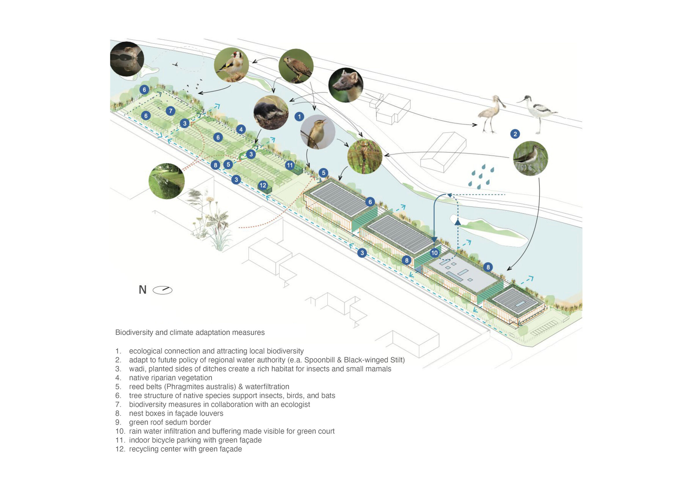 biodiversity and climate adaptation