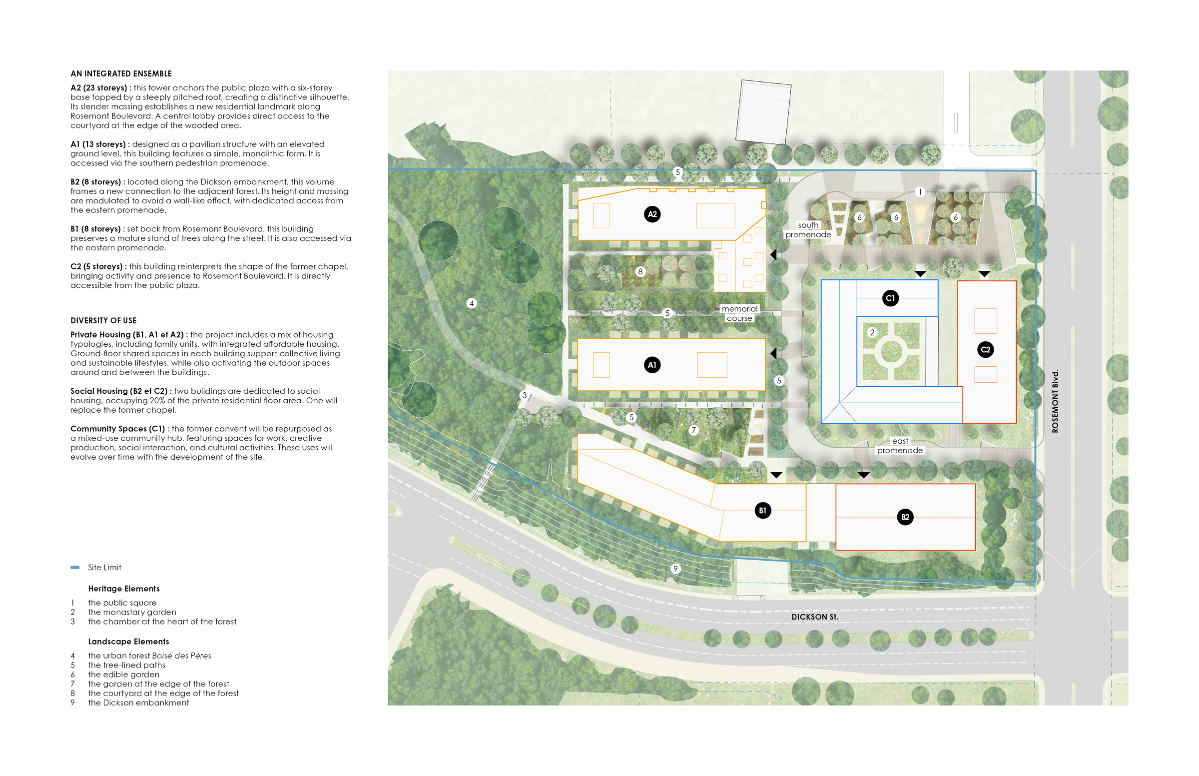 Rooted Renewal - Masterplan