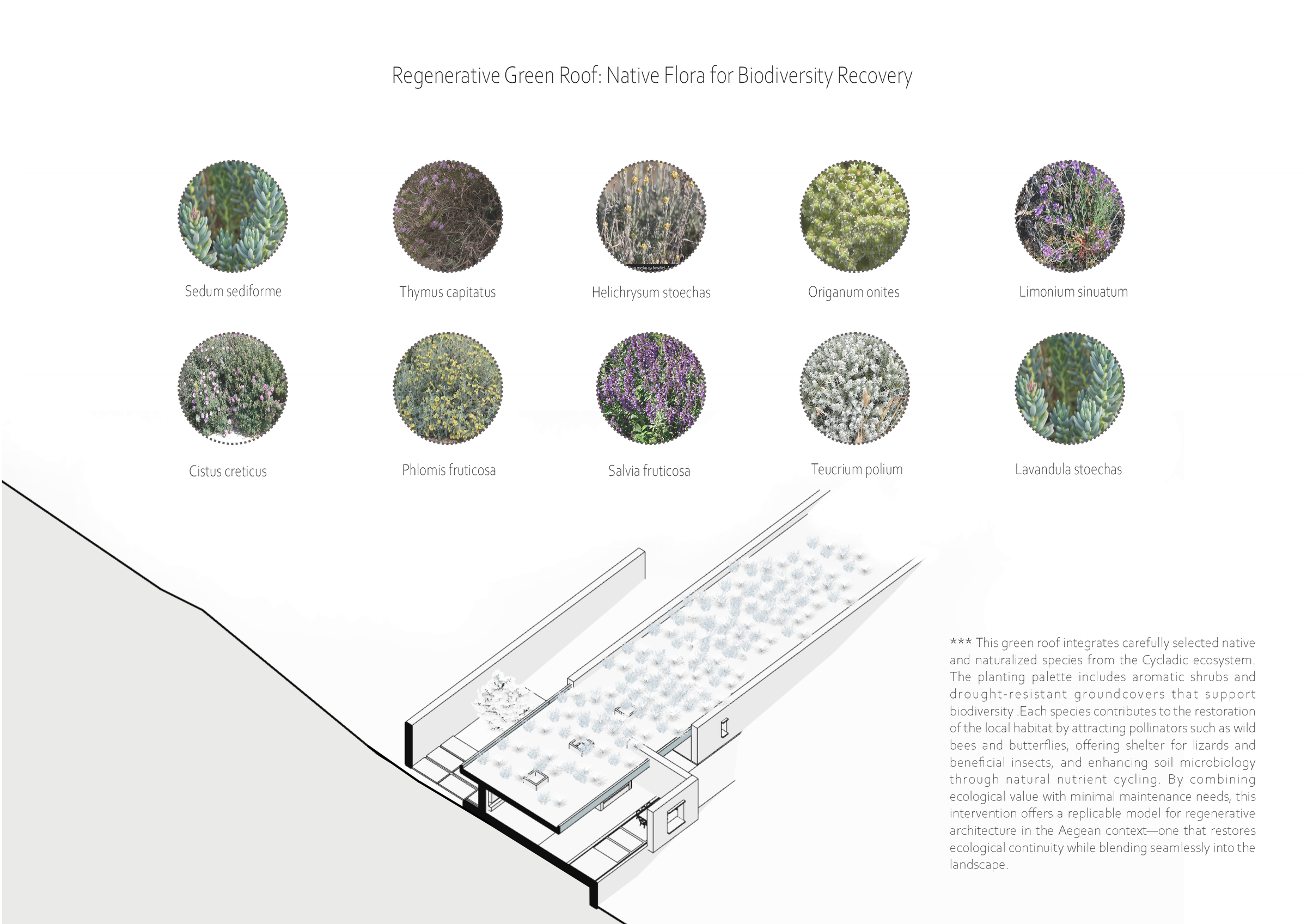 Vegetation diagram