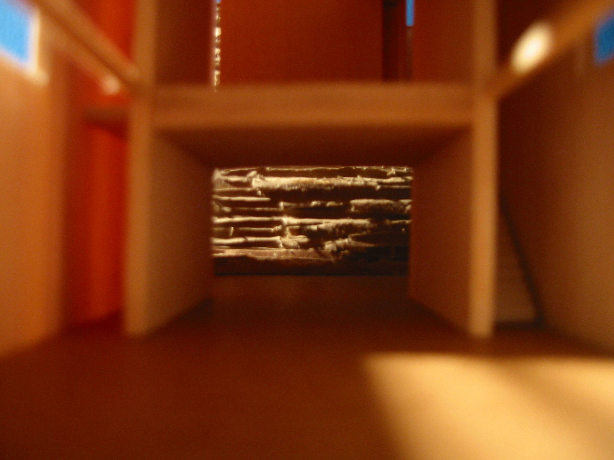 Study model