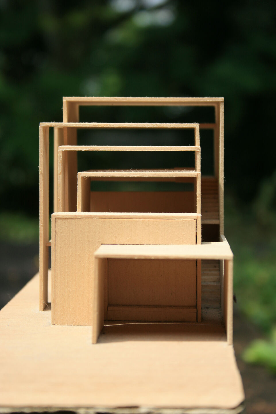 Study model.