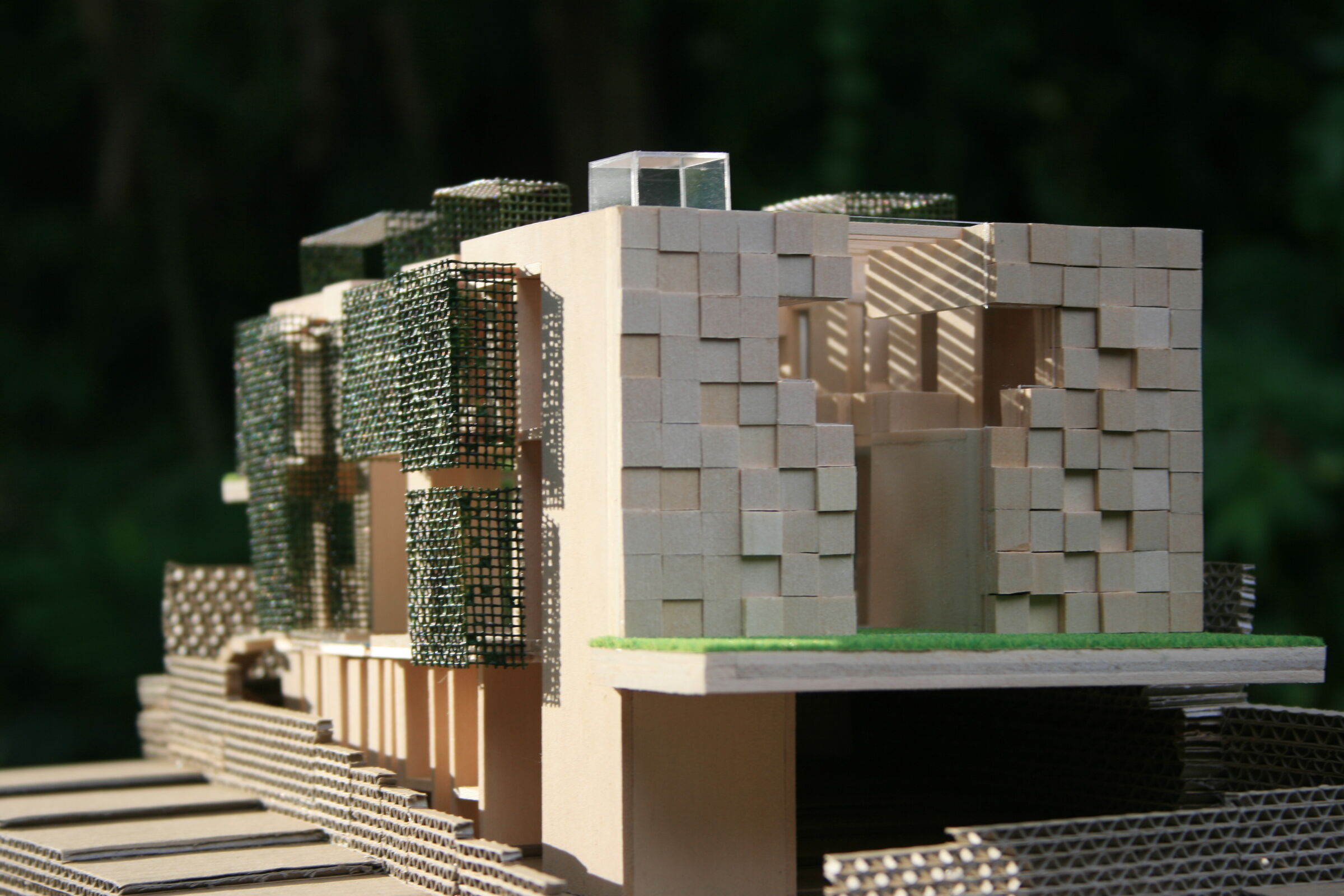 Study model