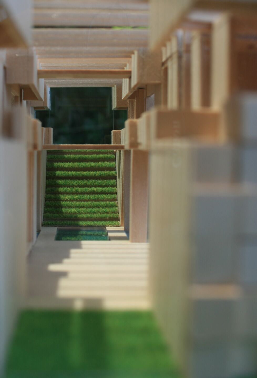Study model