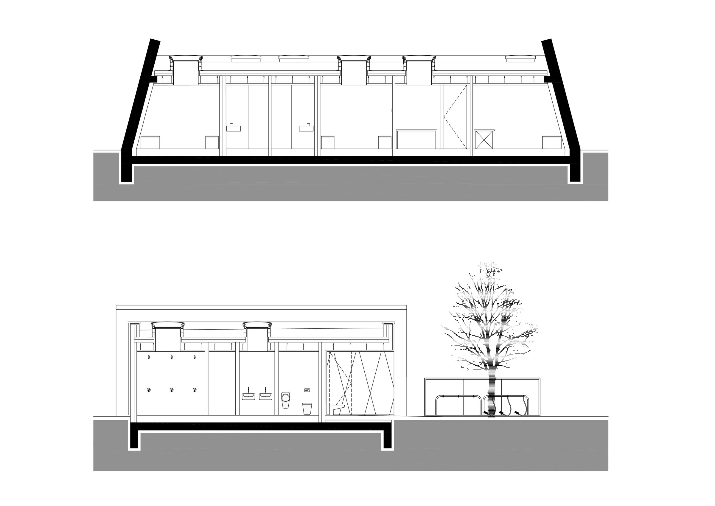 Cross Sections