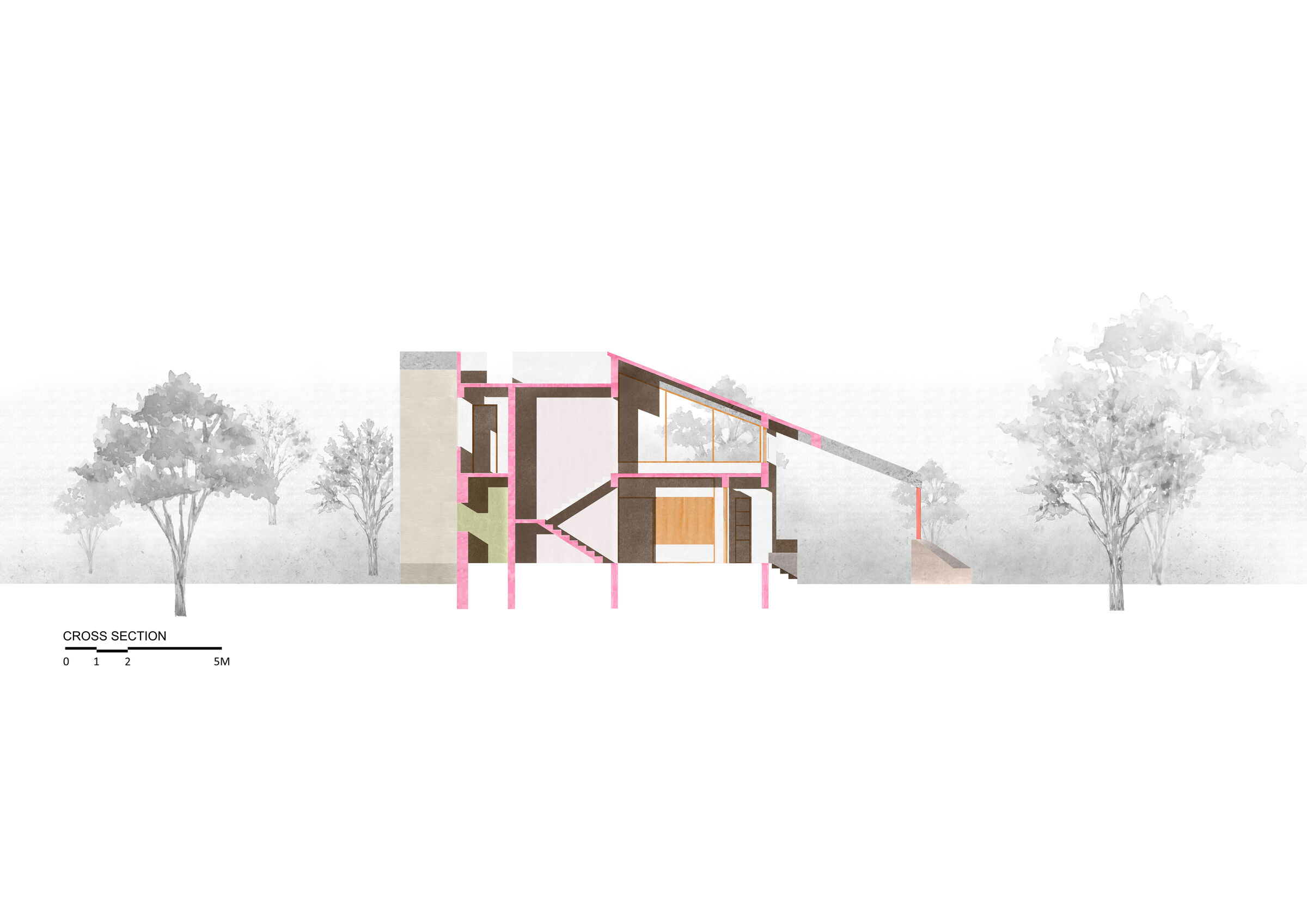 Cross Section