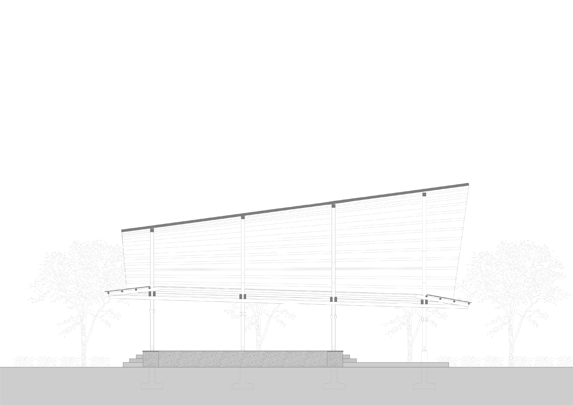 Longitudinal Section