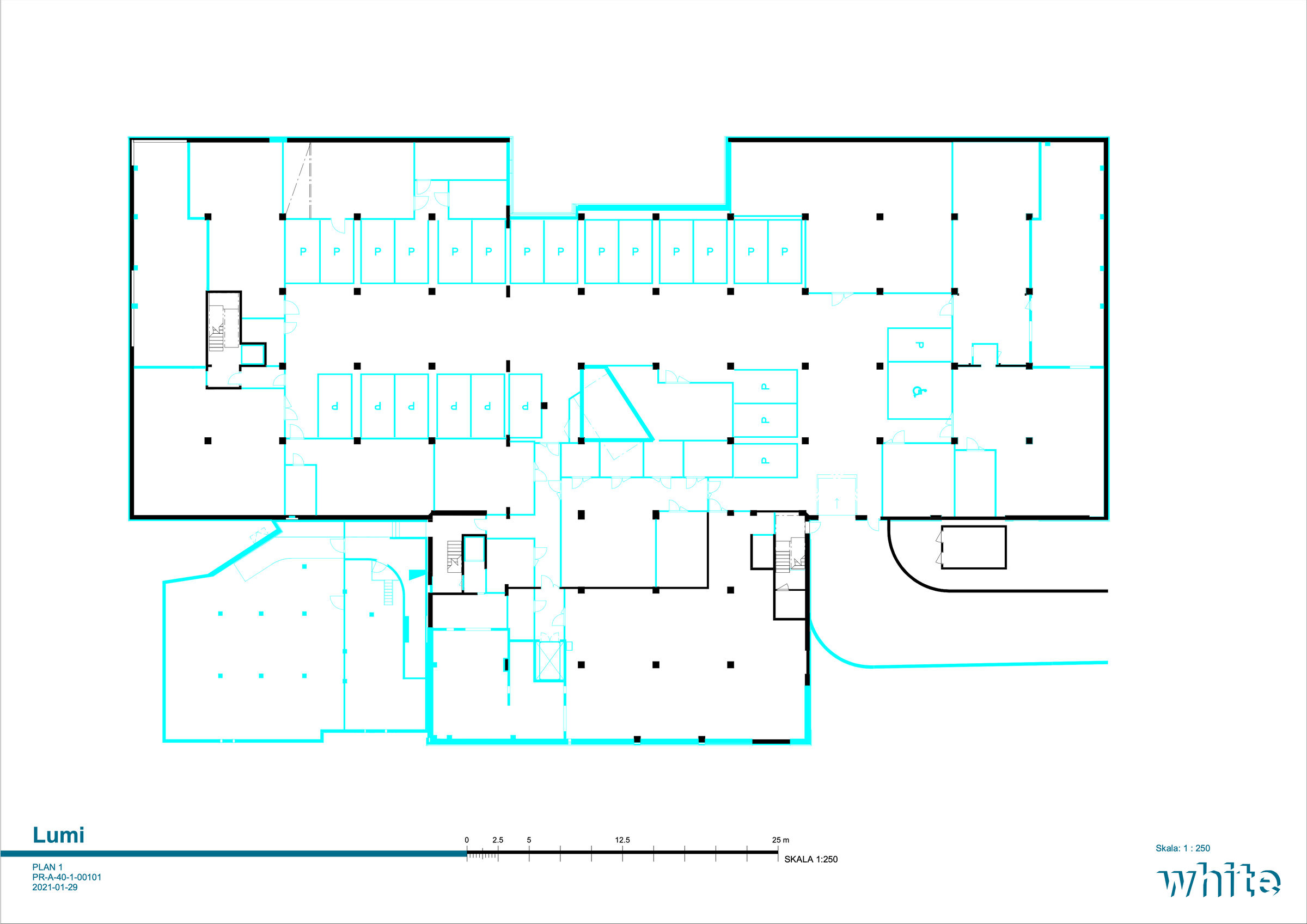 Level 1, basement