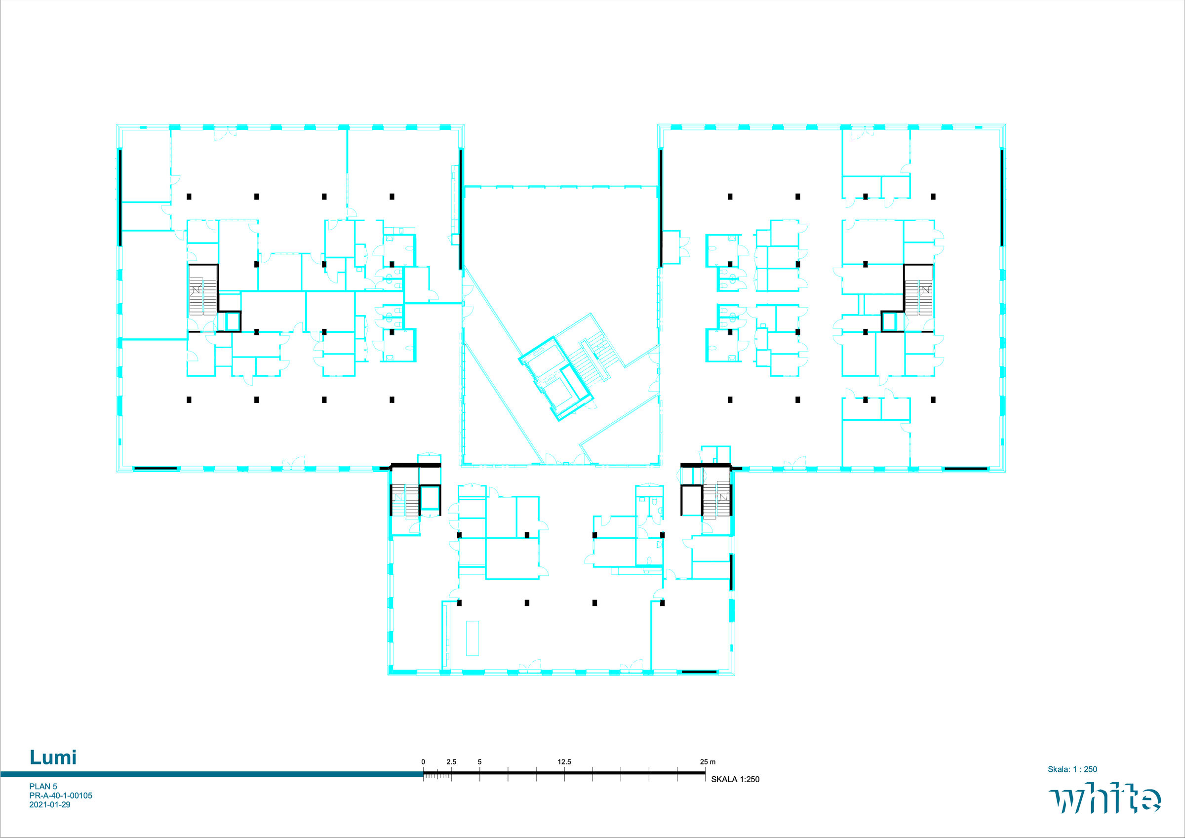 Level 5