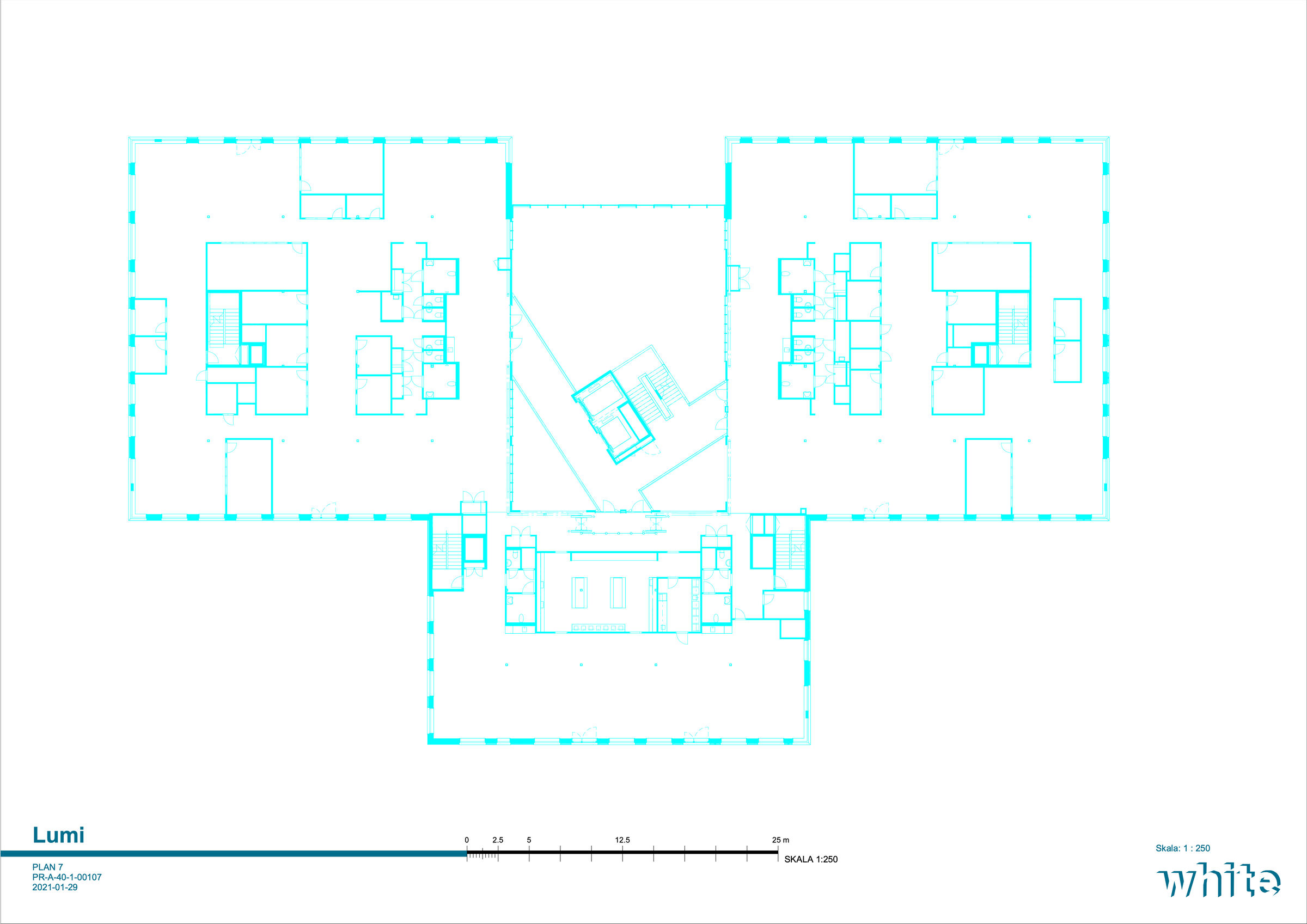 Level 7