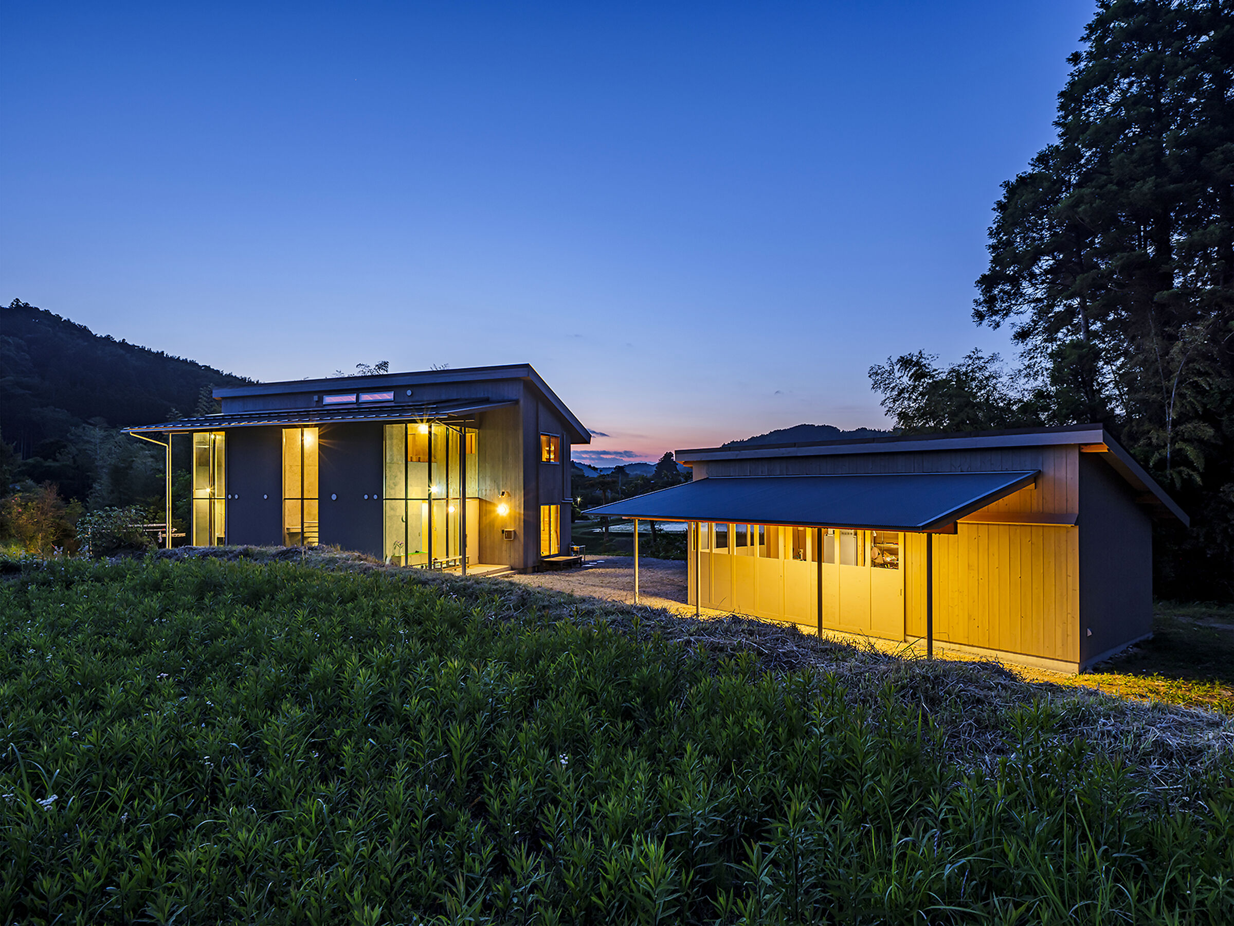 Night view