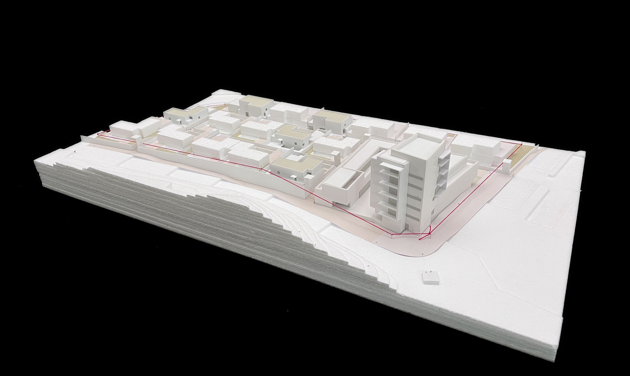 Card study model