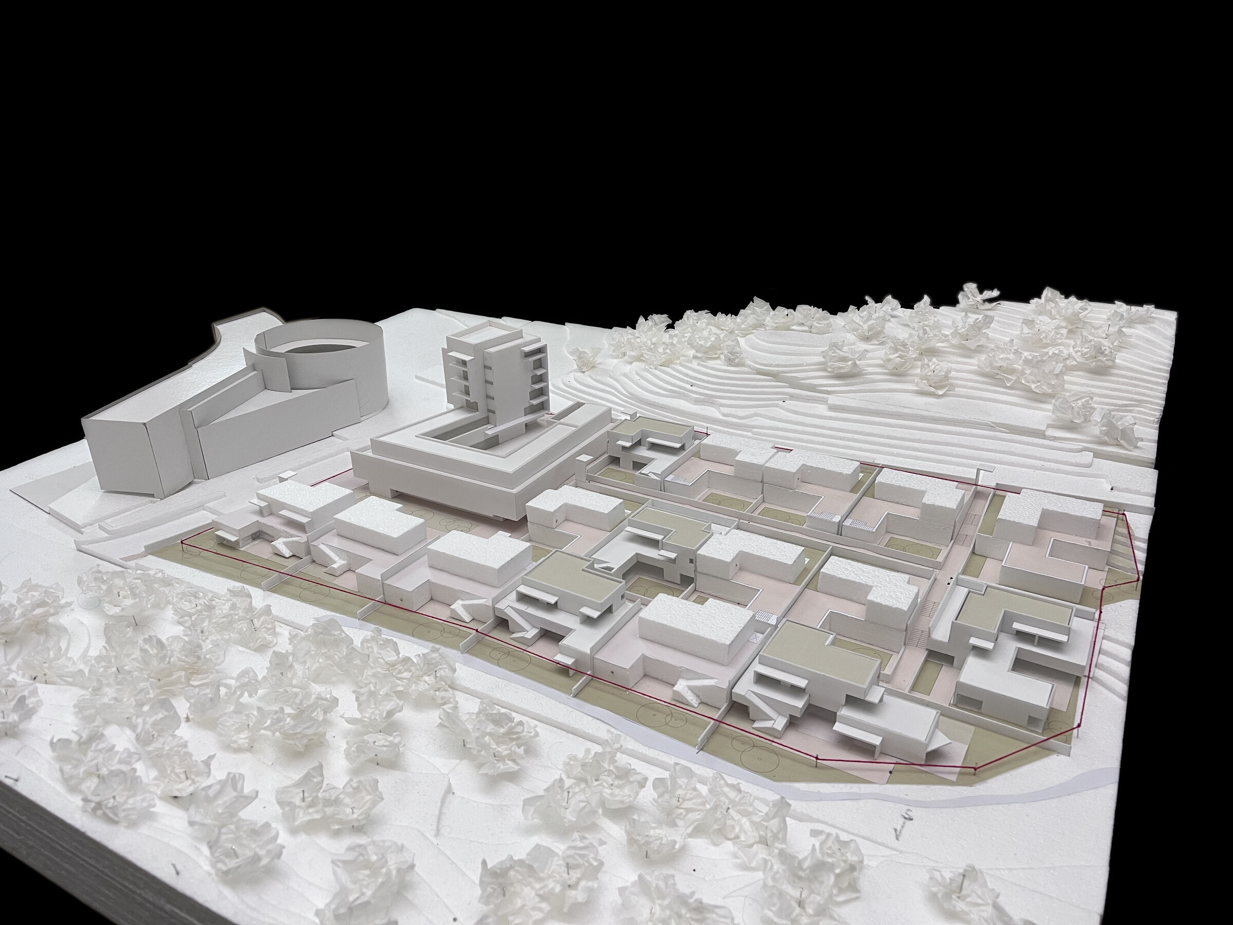 Card study model