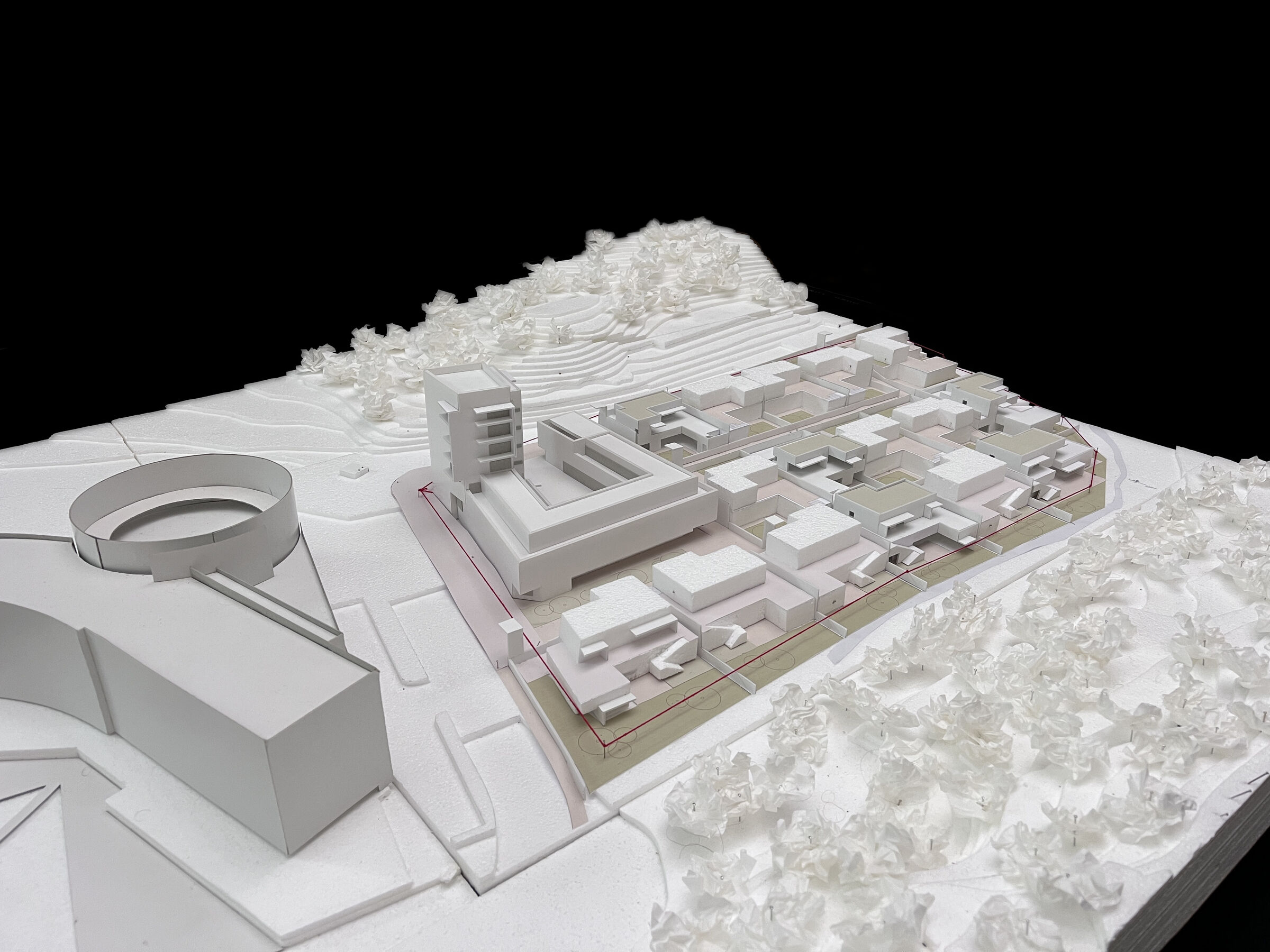 Card study model