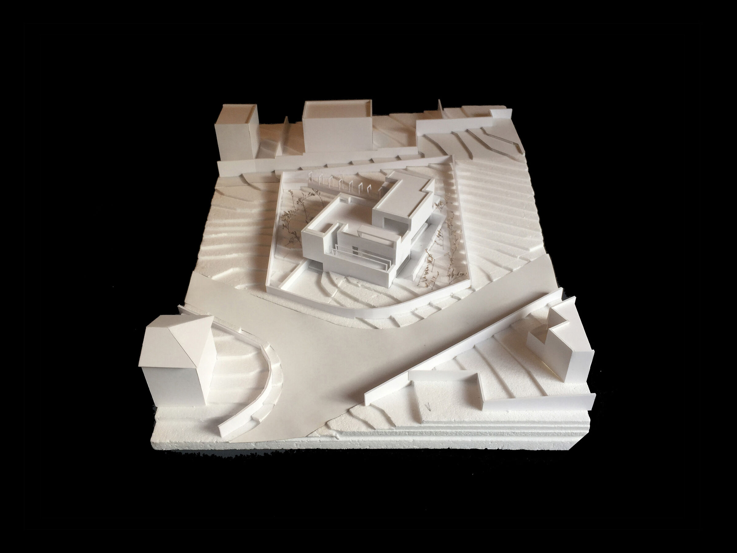 Card study model