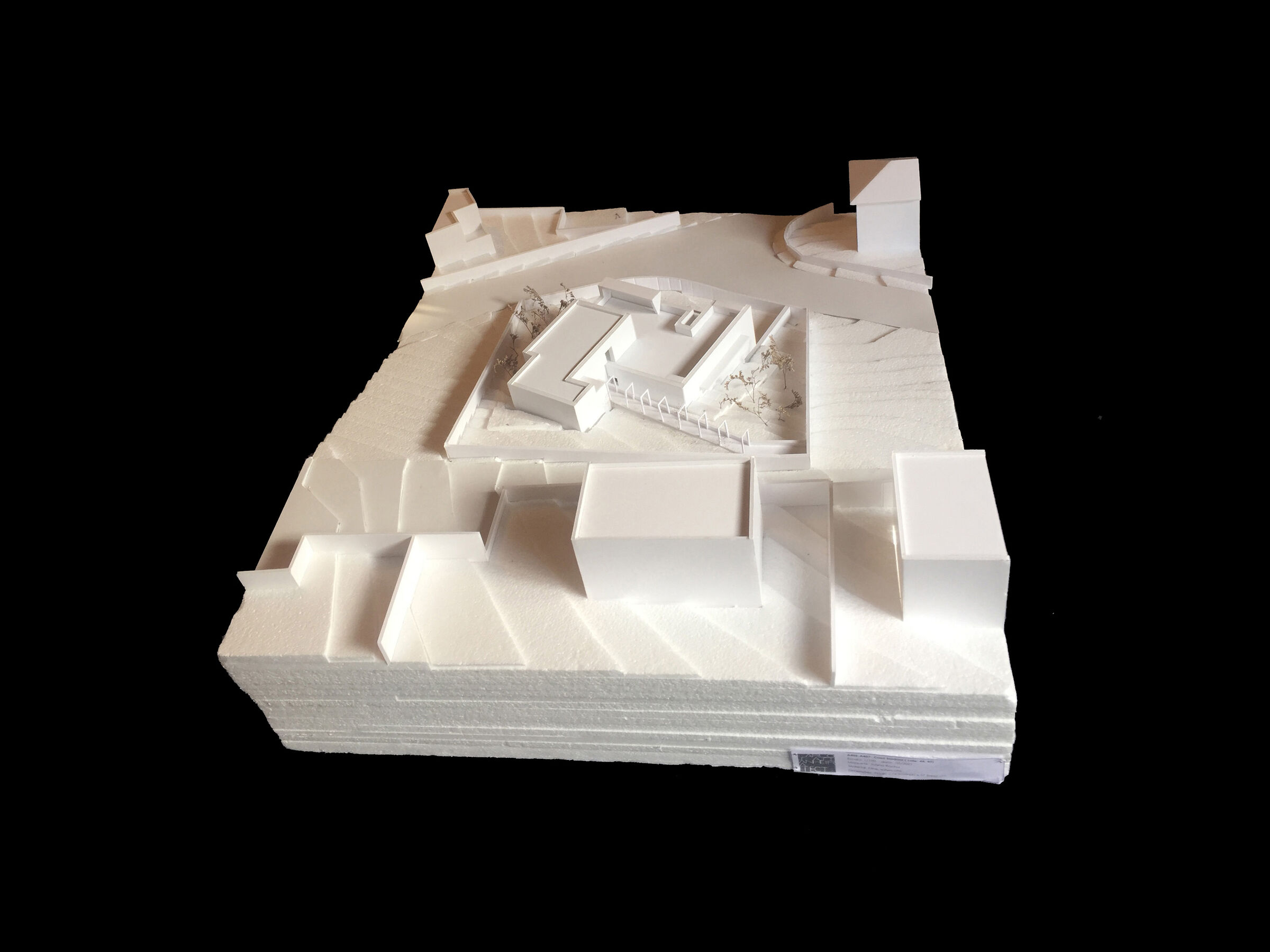 Card study model