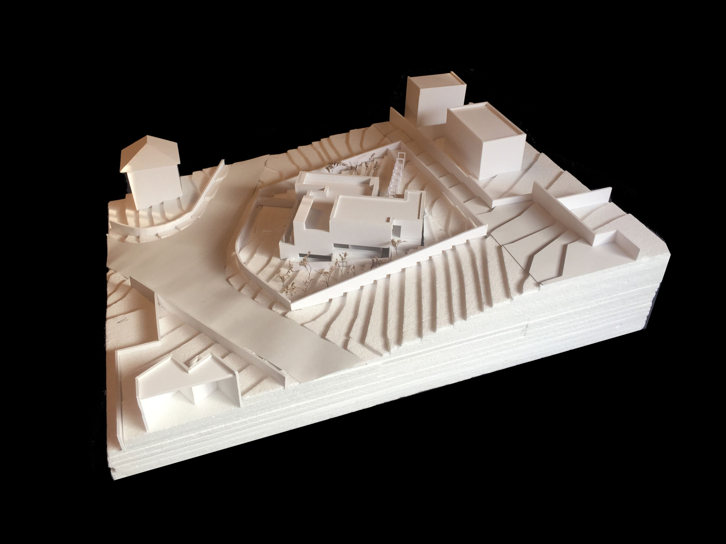 Card study model