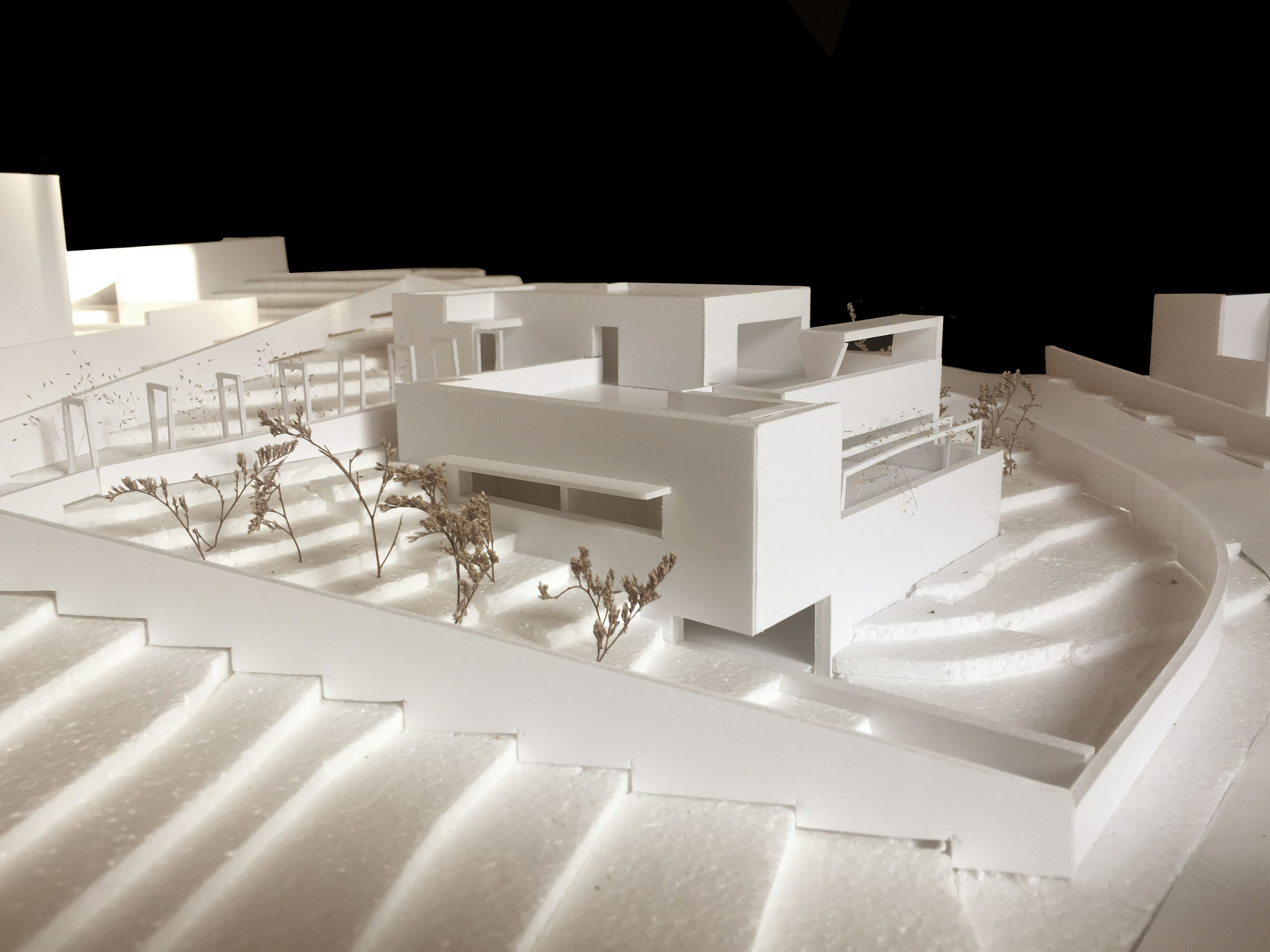 Card study model