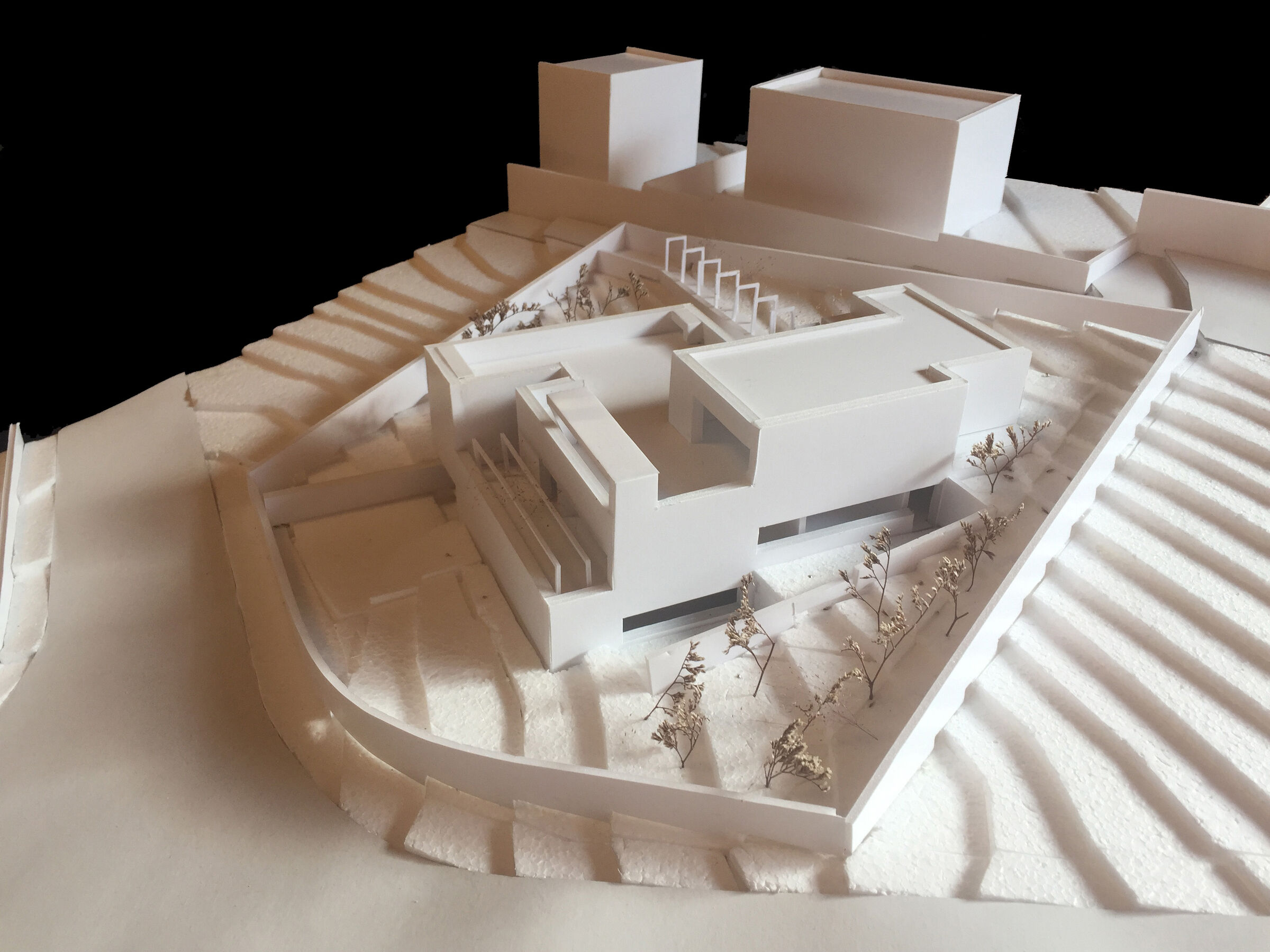Card study model