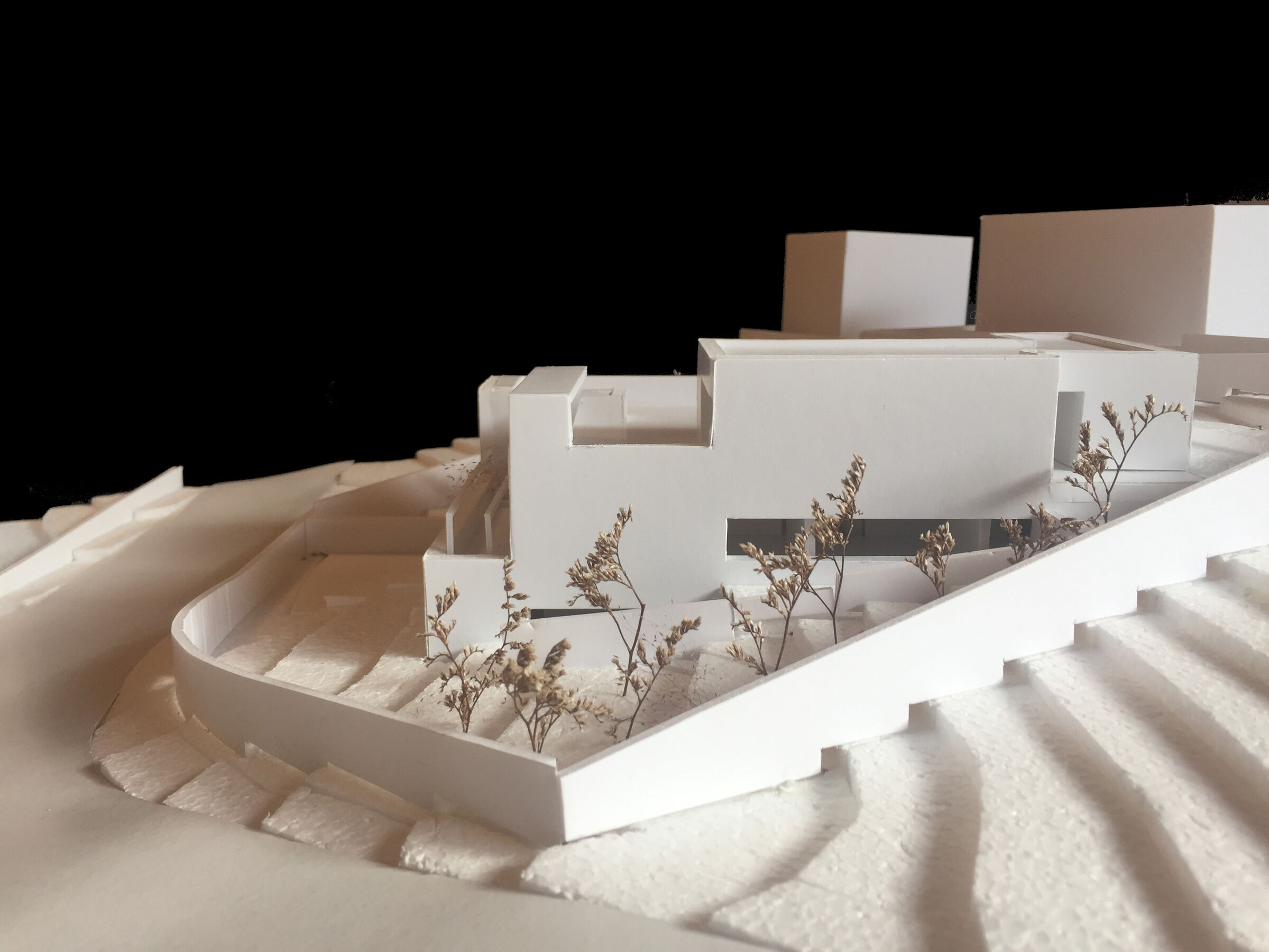 Card study model