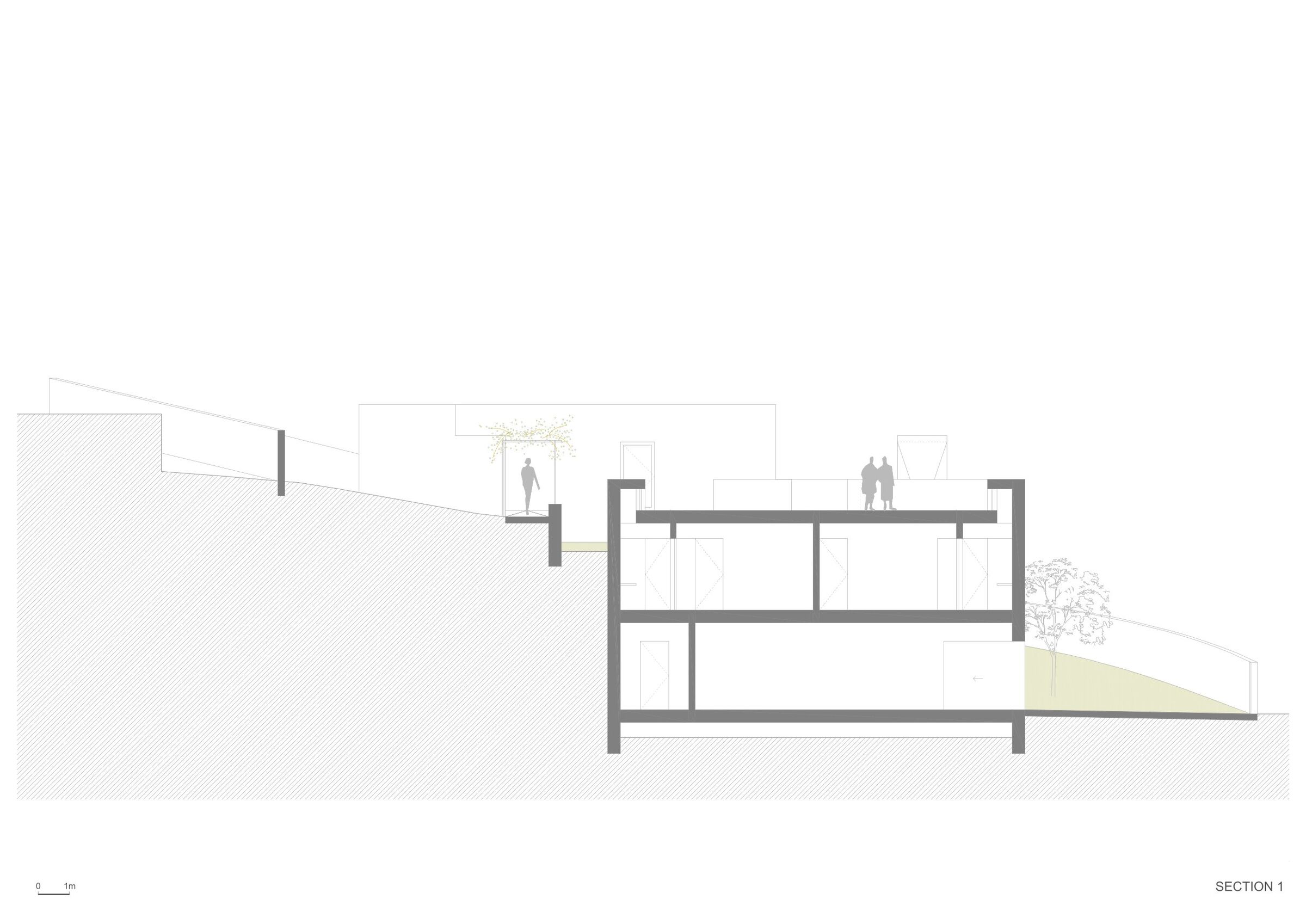 Section 1