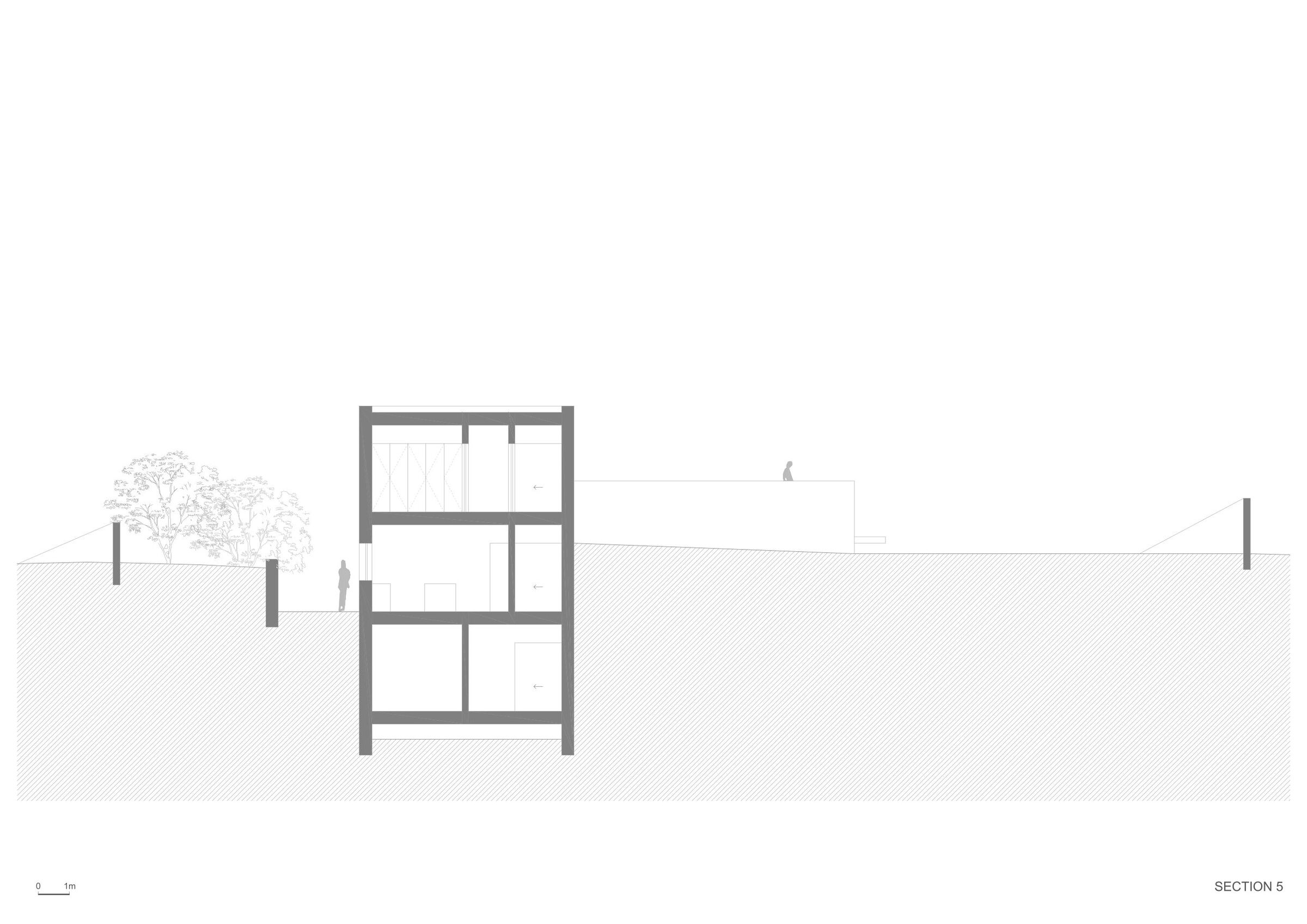 Section 5