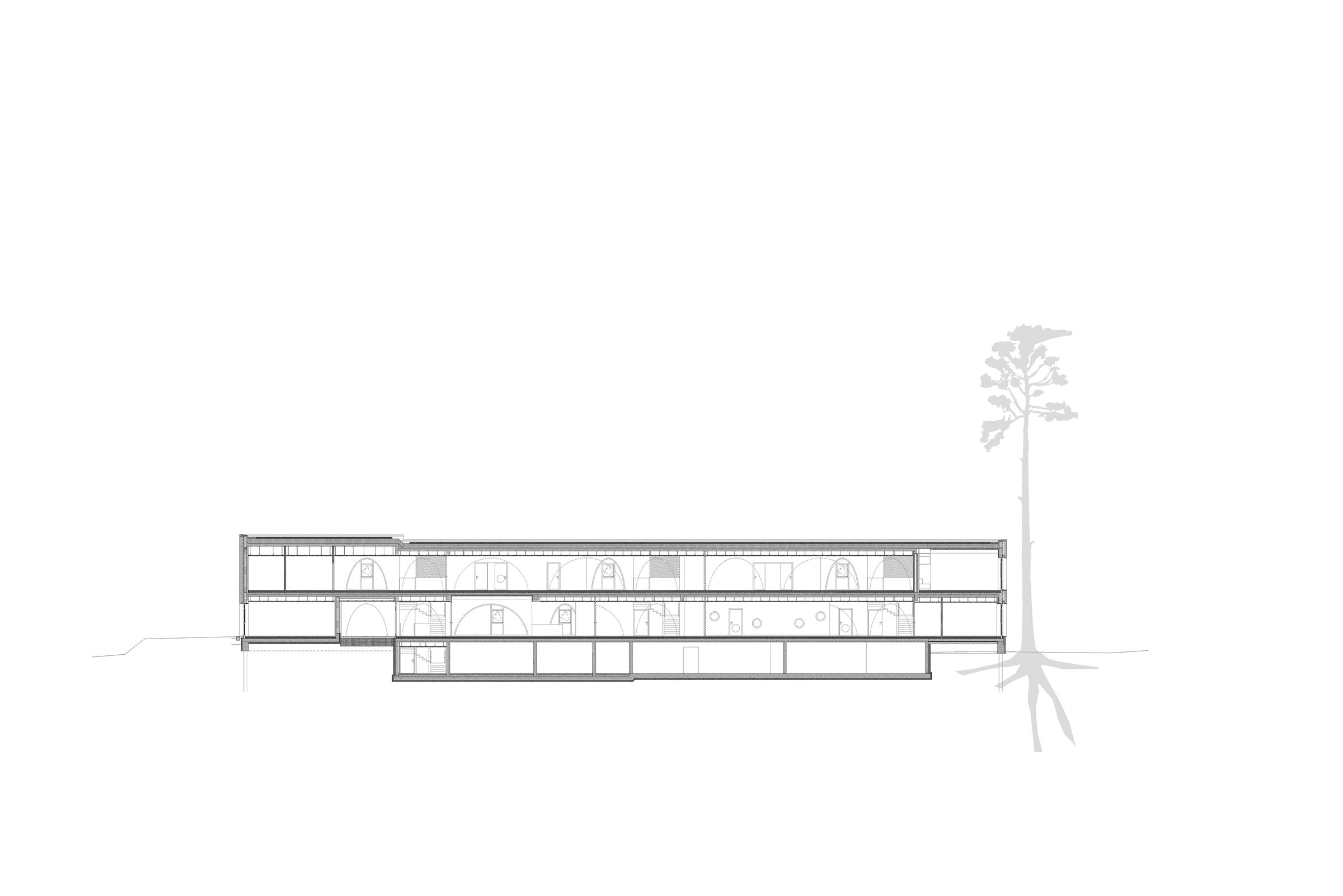 Longitudinal Section with construction over the pine roots