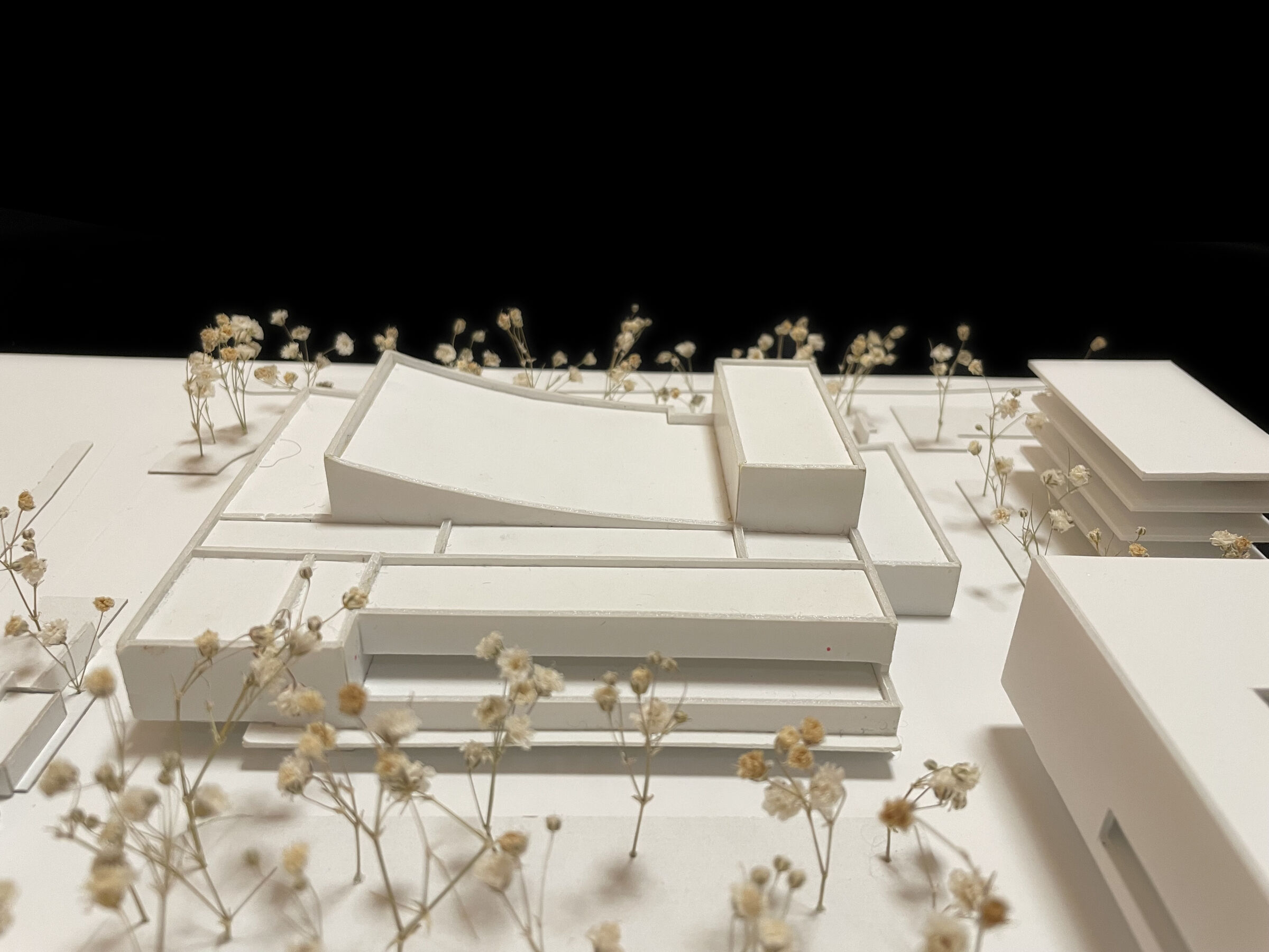 Study card model