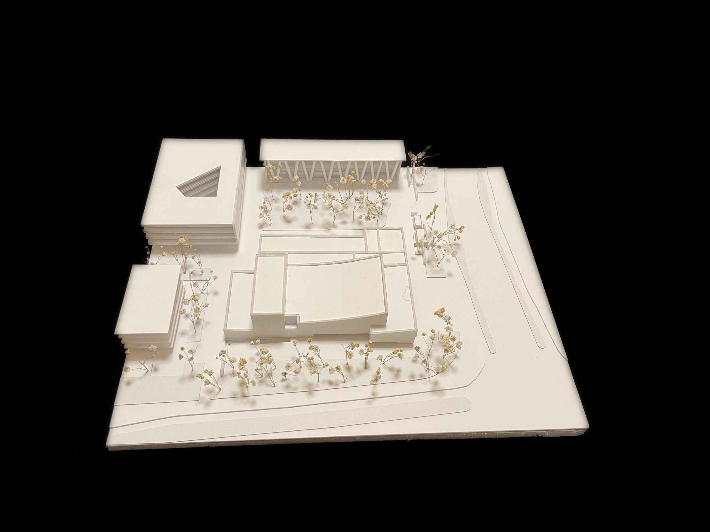 Study card model