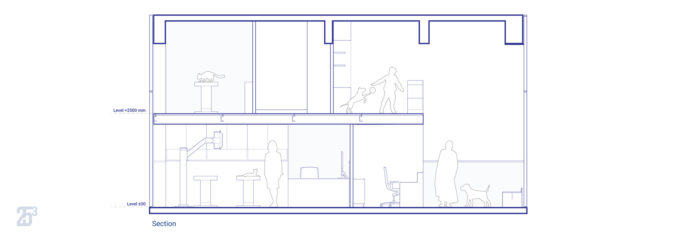ection drawing highlighting the double-height space, mezzanine level, and vertical spatial relationships within the clinic.