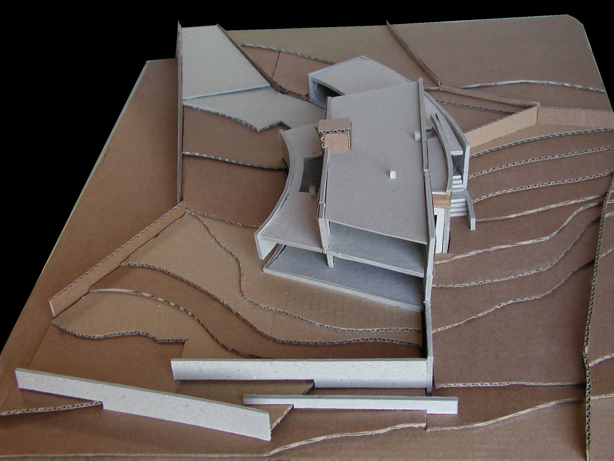 Card study model