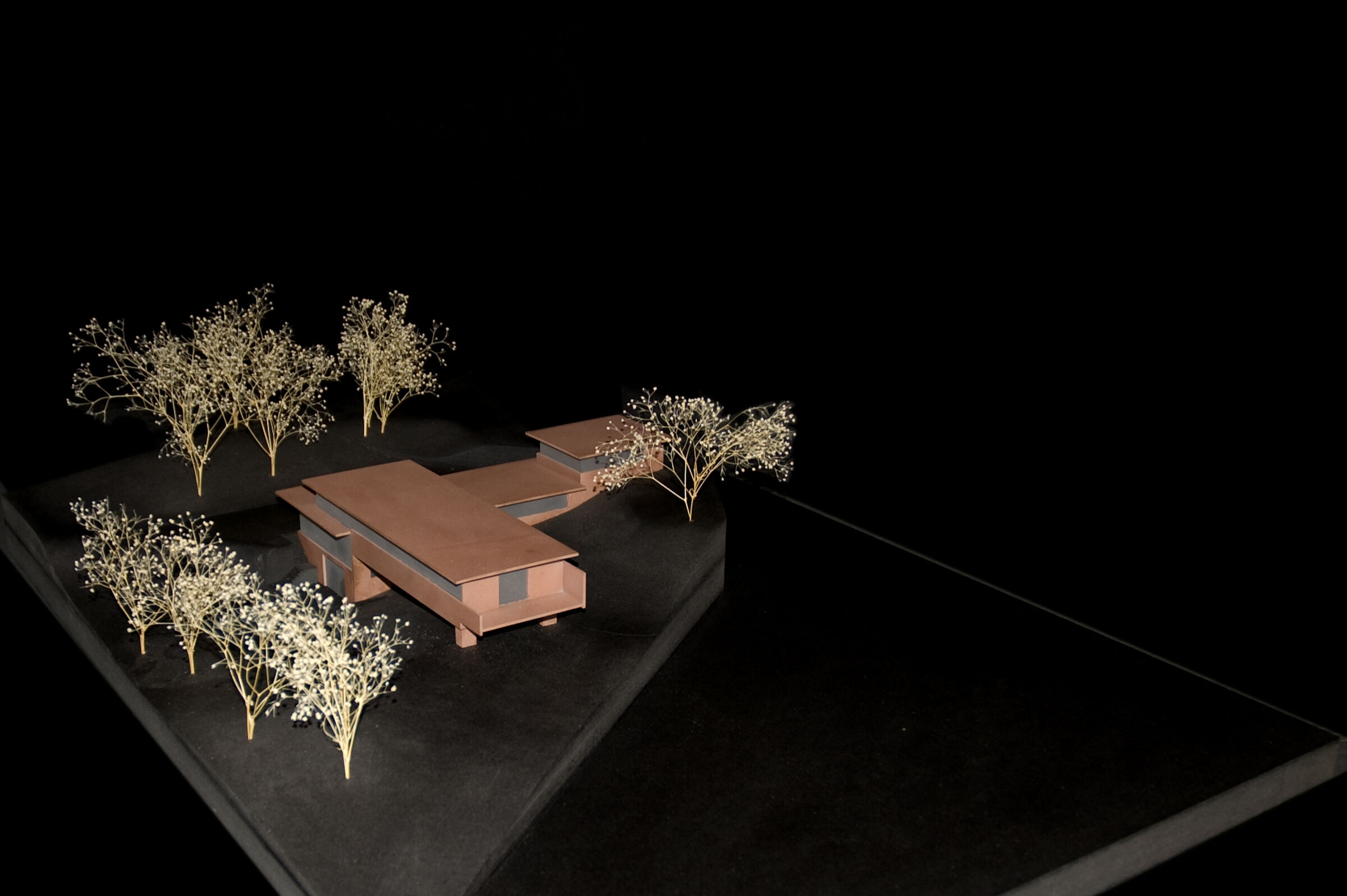Wood model