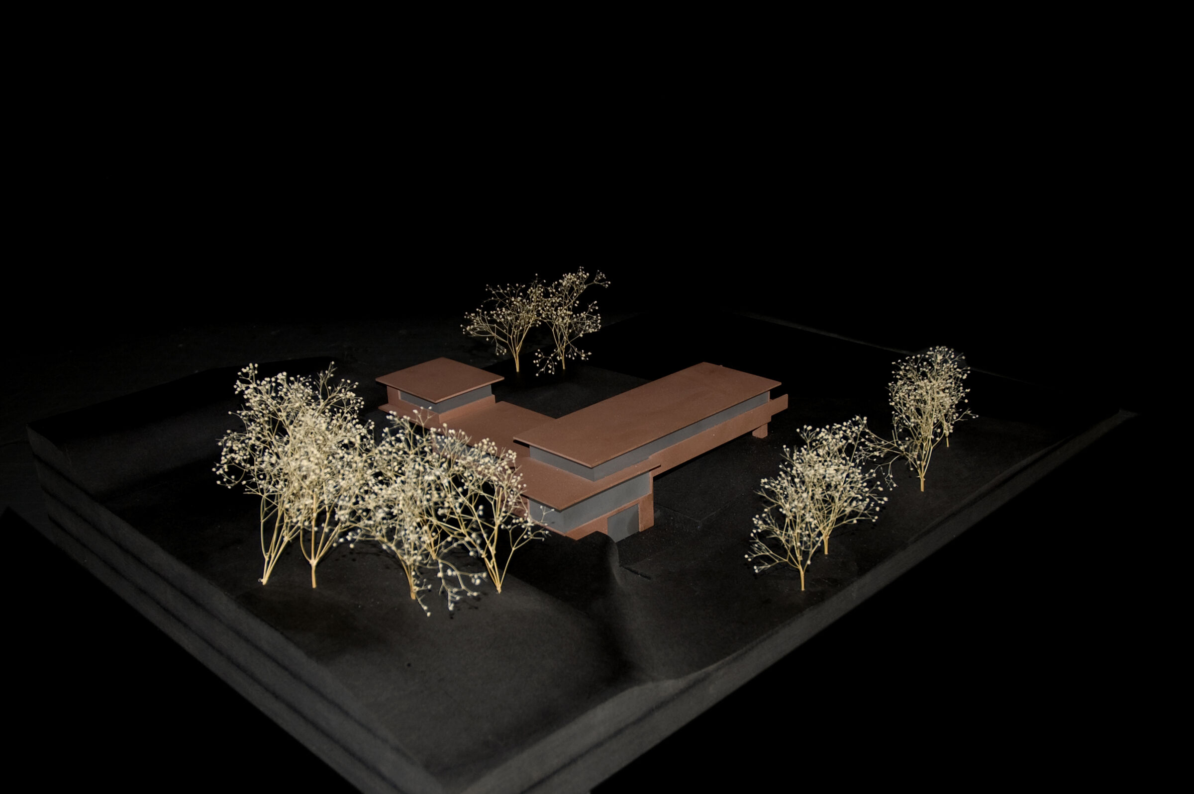 Wood model