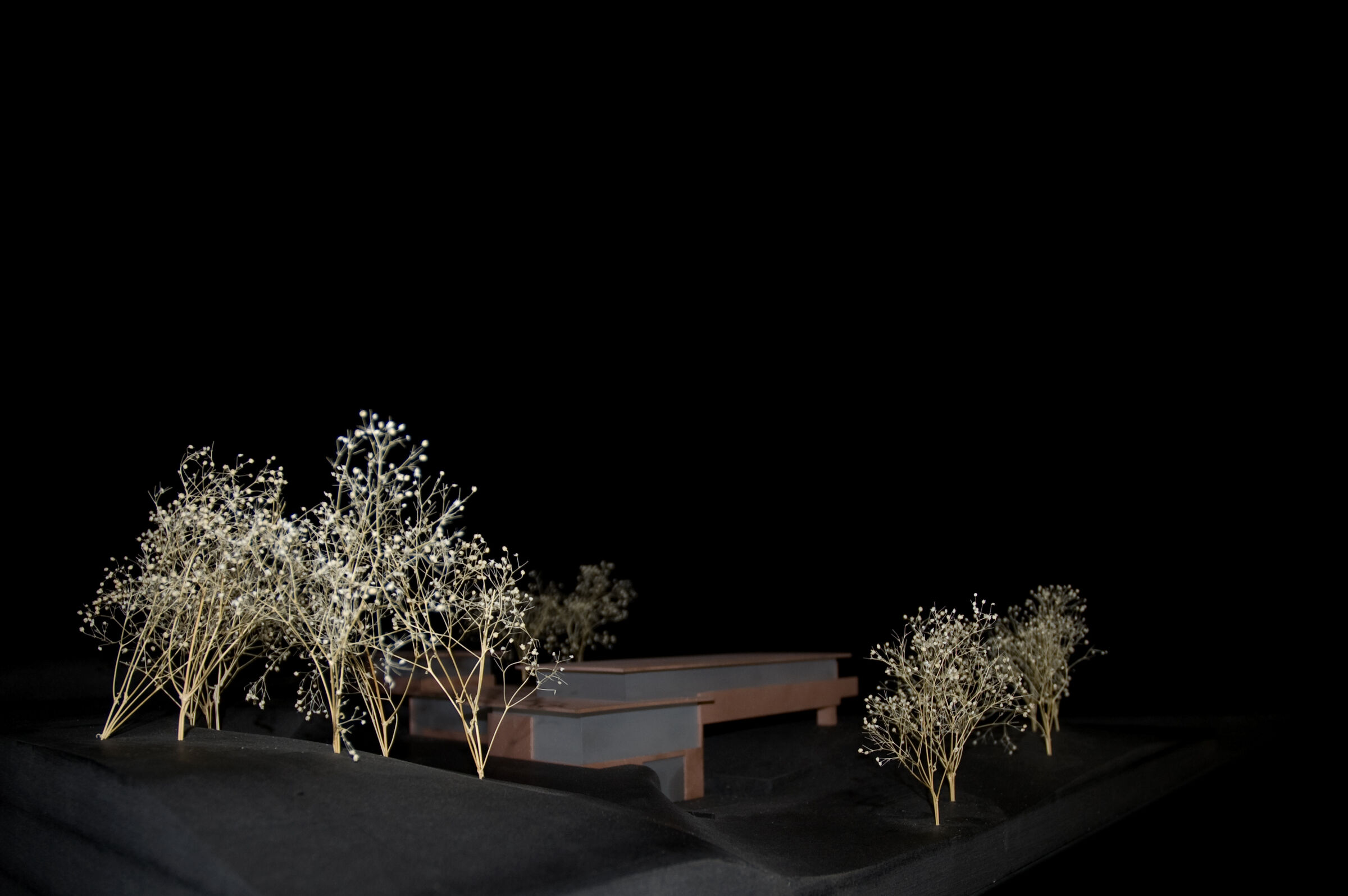 Wood model