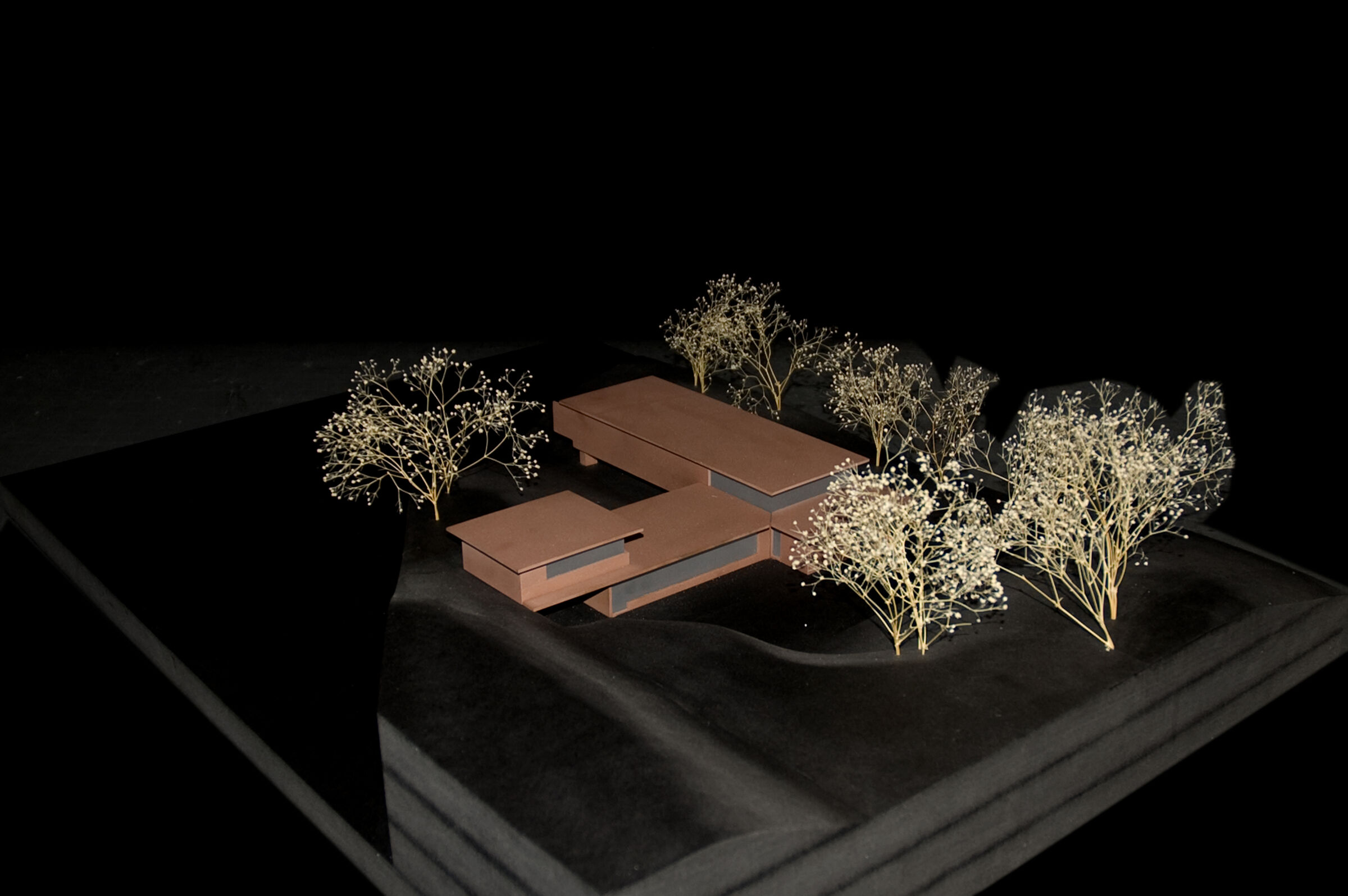 Wood model