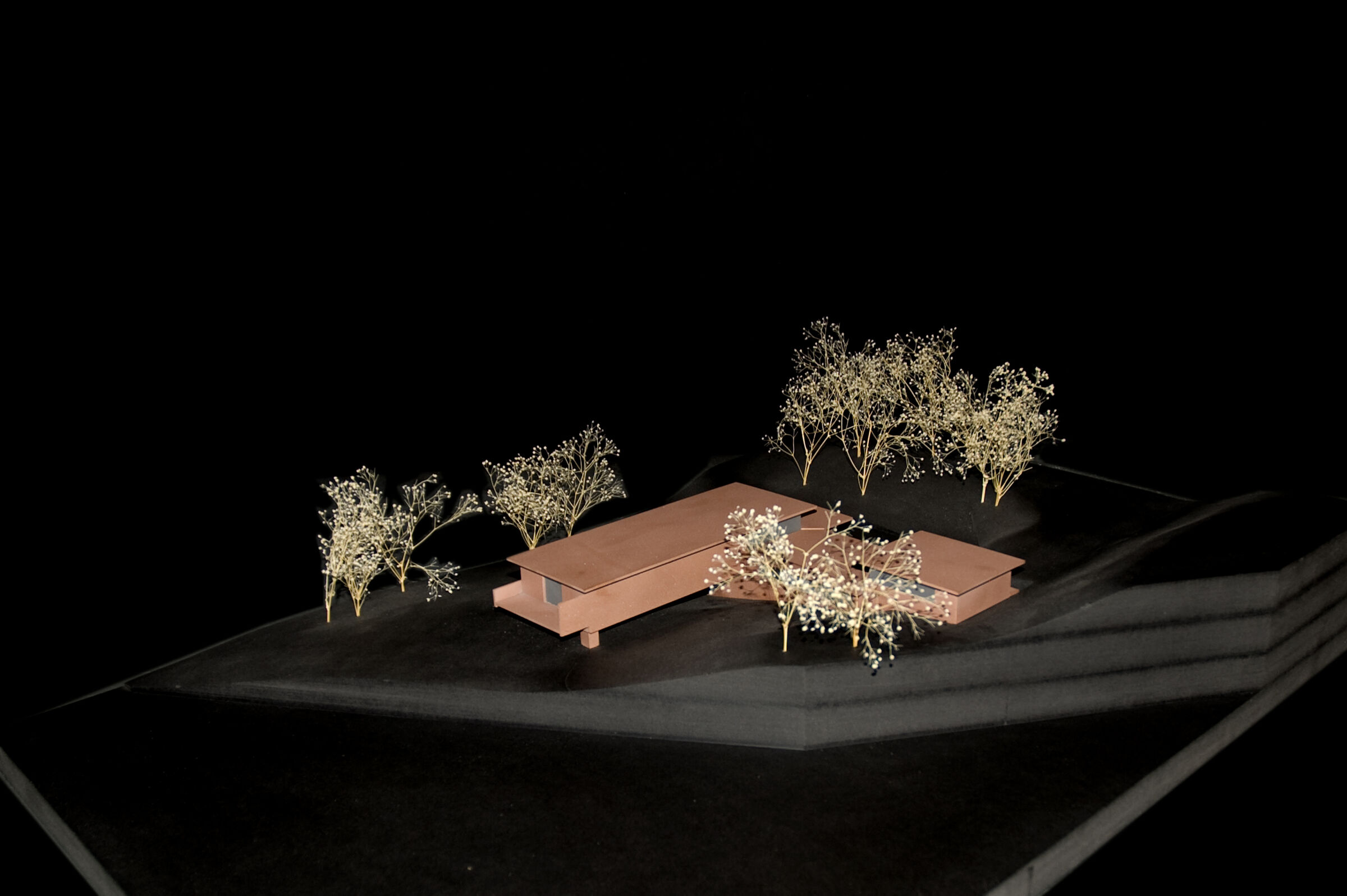Wood model
