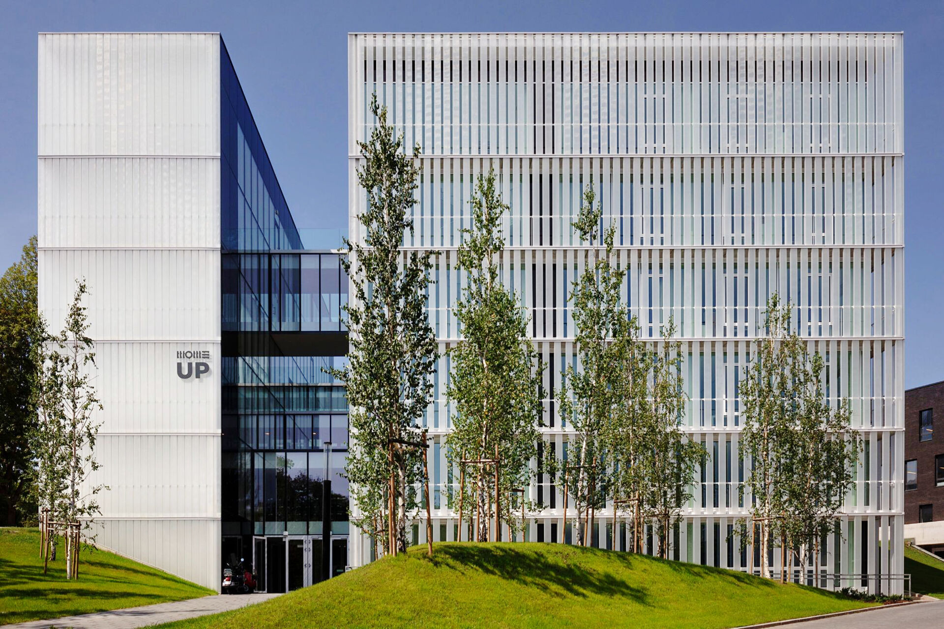 MOME Campus - MOME UP