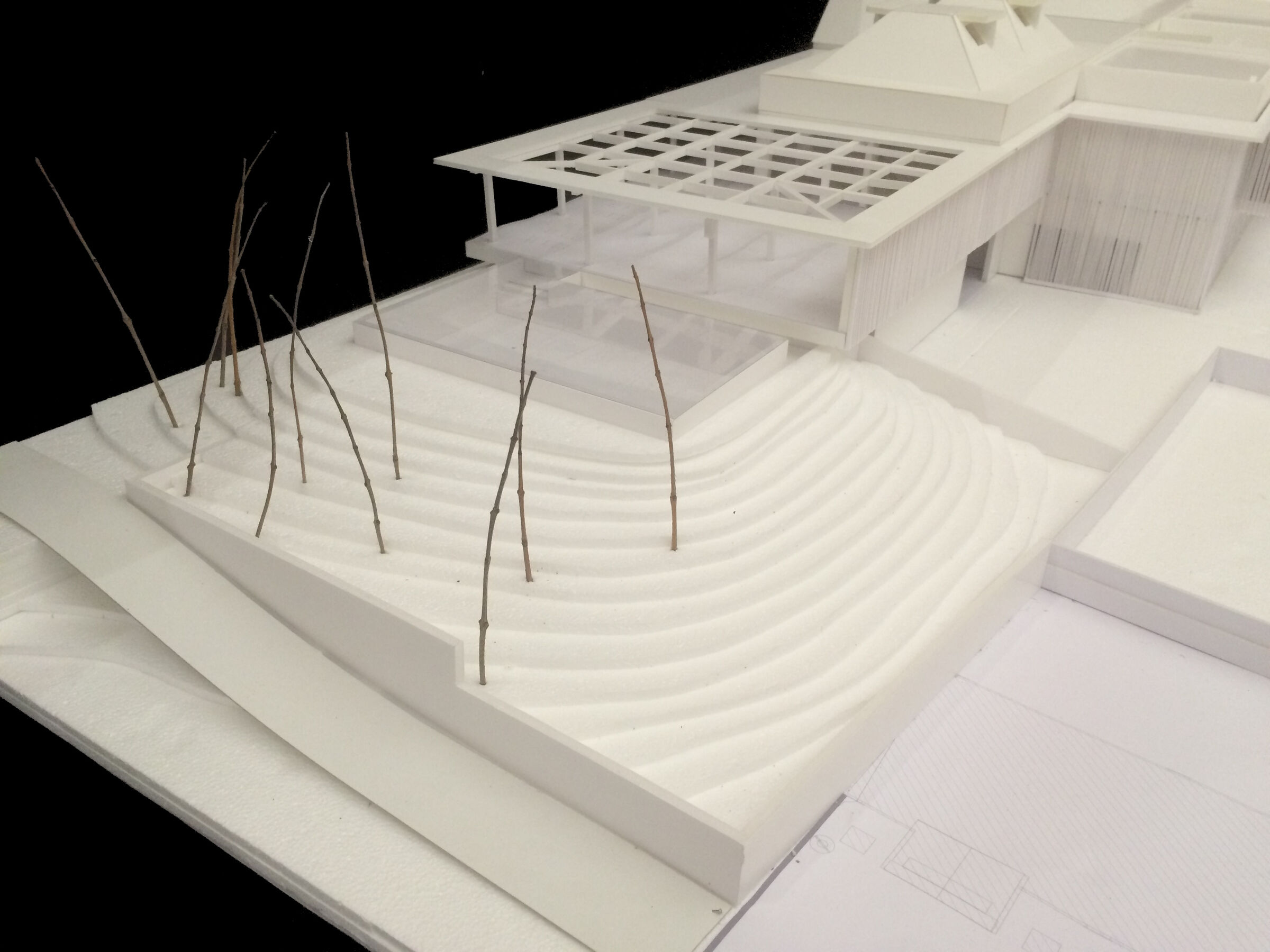 Card study model
