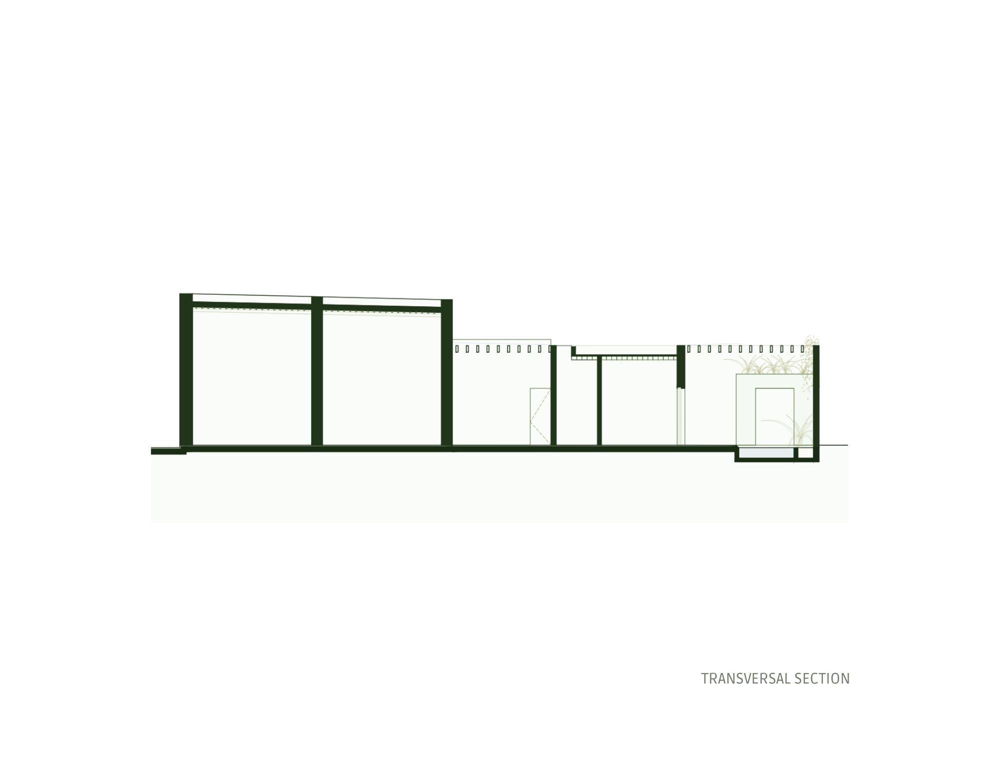 Transversal Section