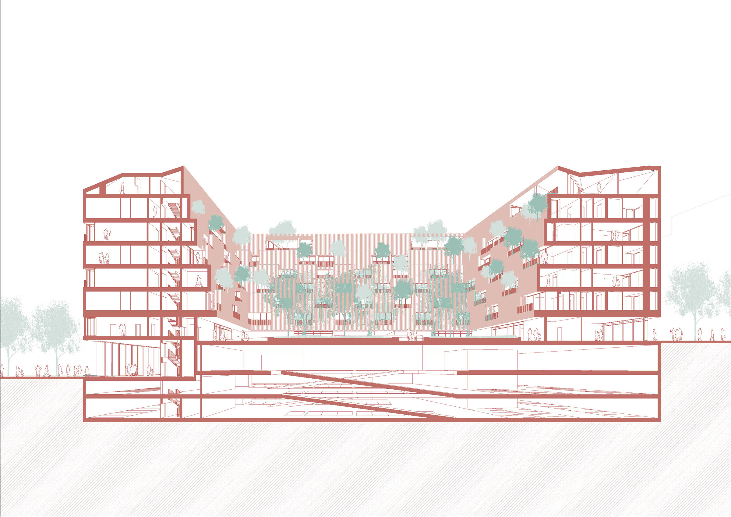 Perspective section