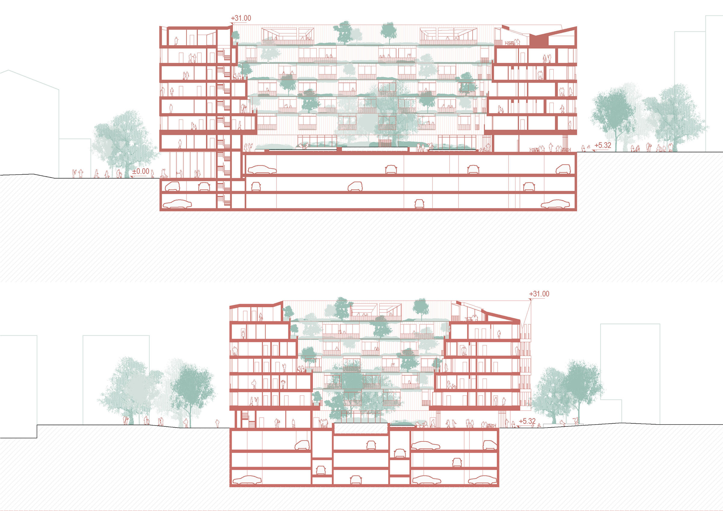 Longitudinal and Cross section