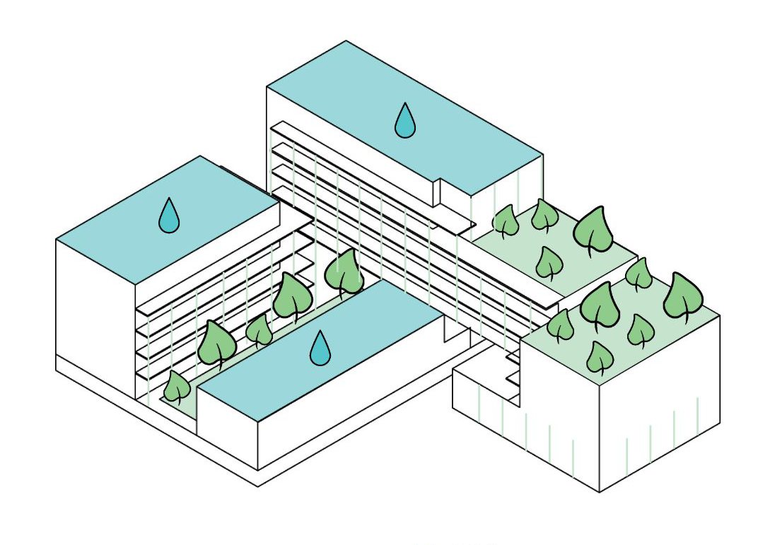 Nature inclusive diagram