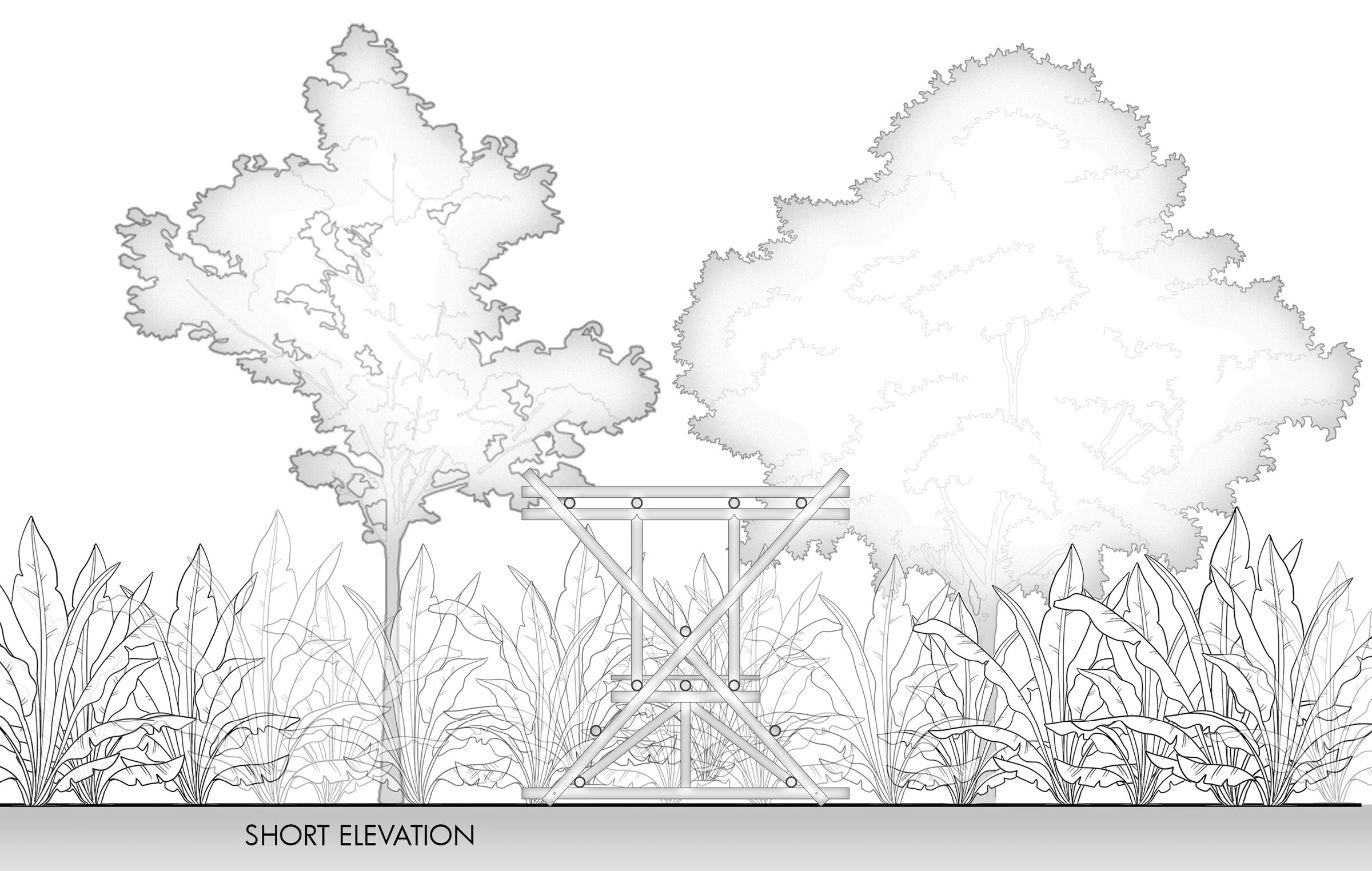 Short Elevation (The X)
