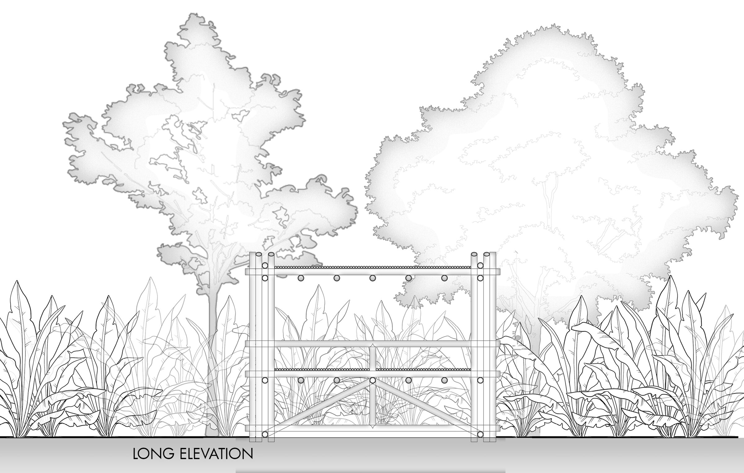 Elevation (The X)