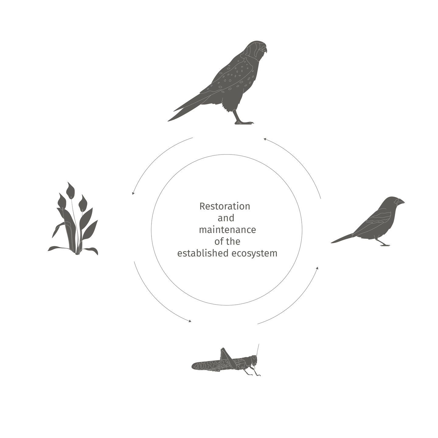 Conceptual scheme