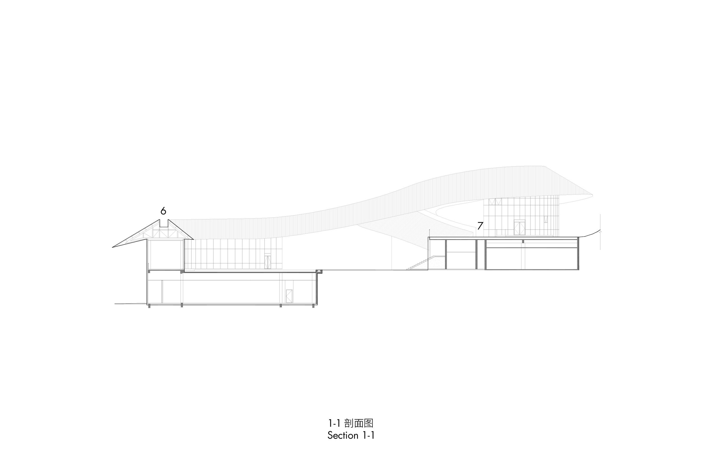 section