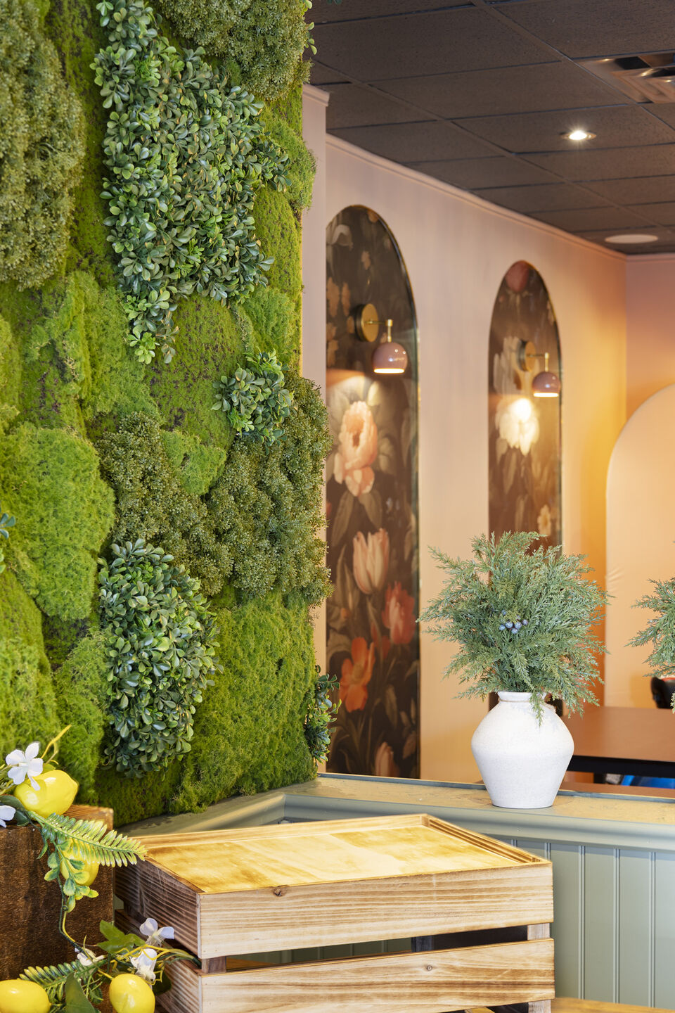Plant wall with moss