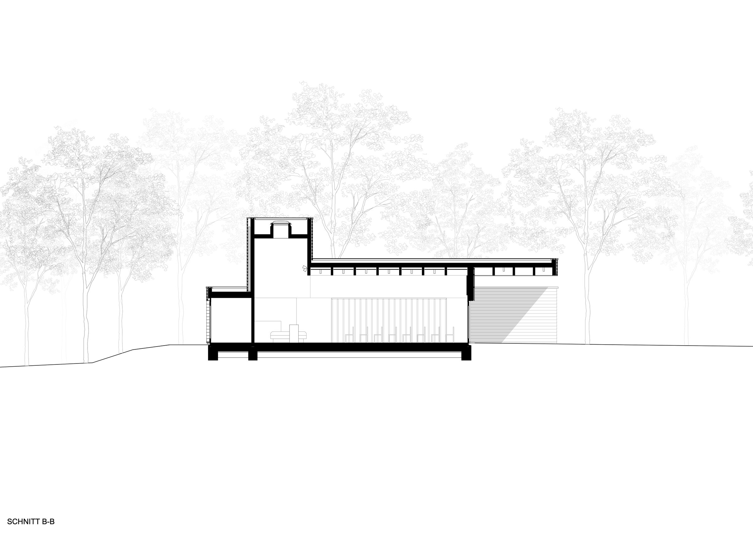 section
